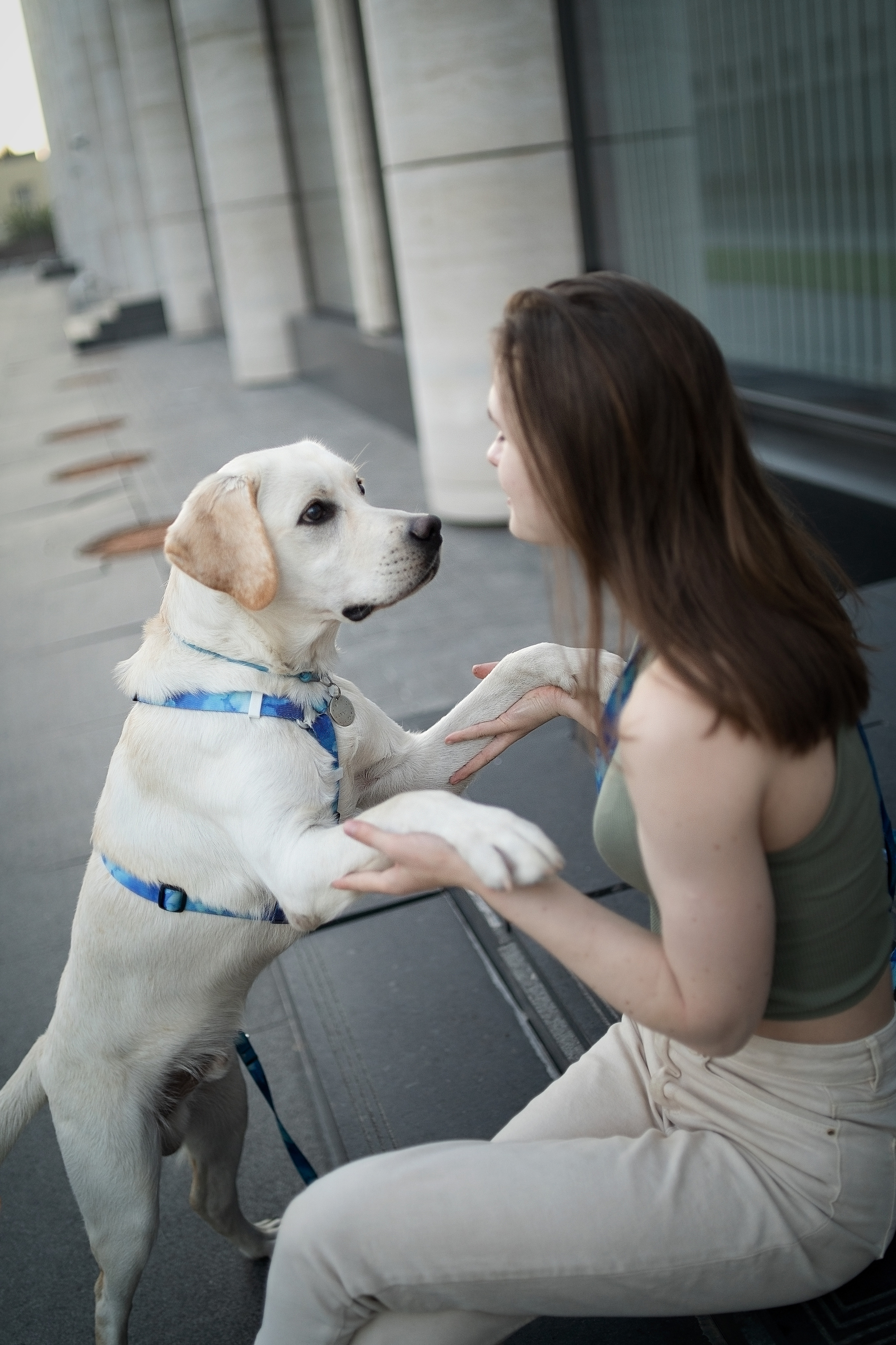 Наташа и Чарли. Фотограф анималист