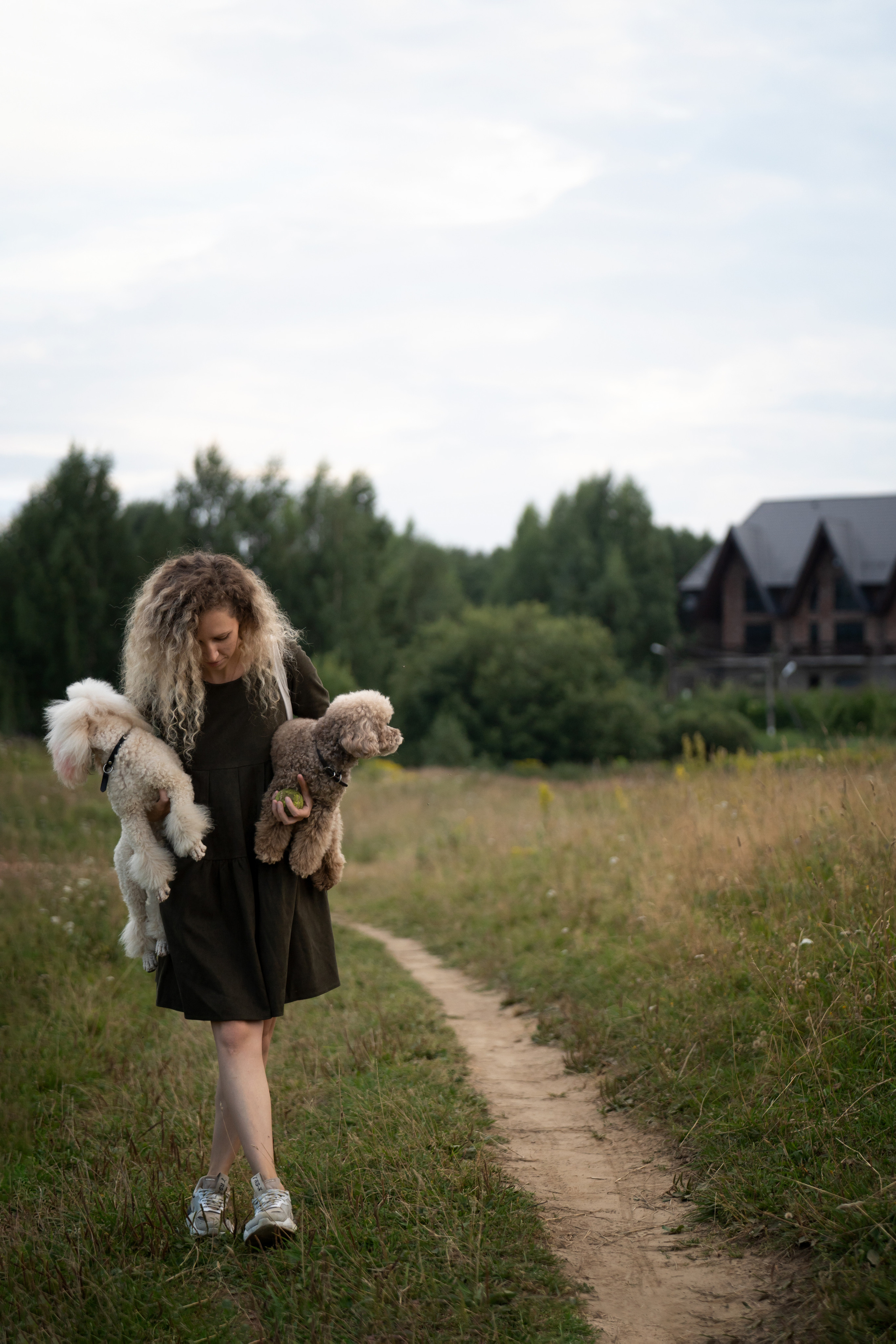 Кудрявая семья. Фотограф анималист