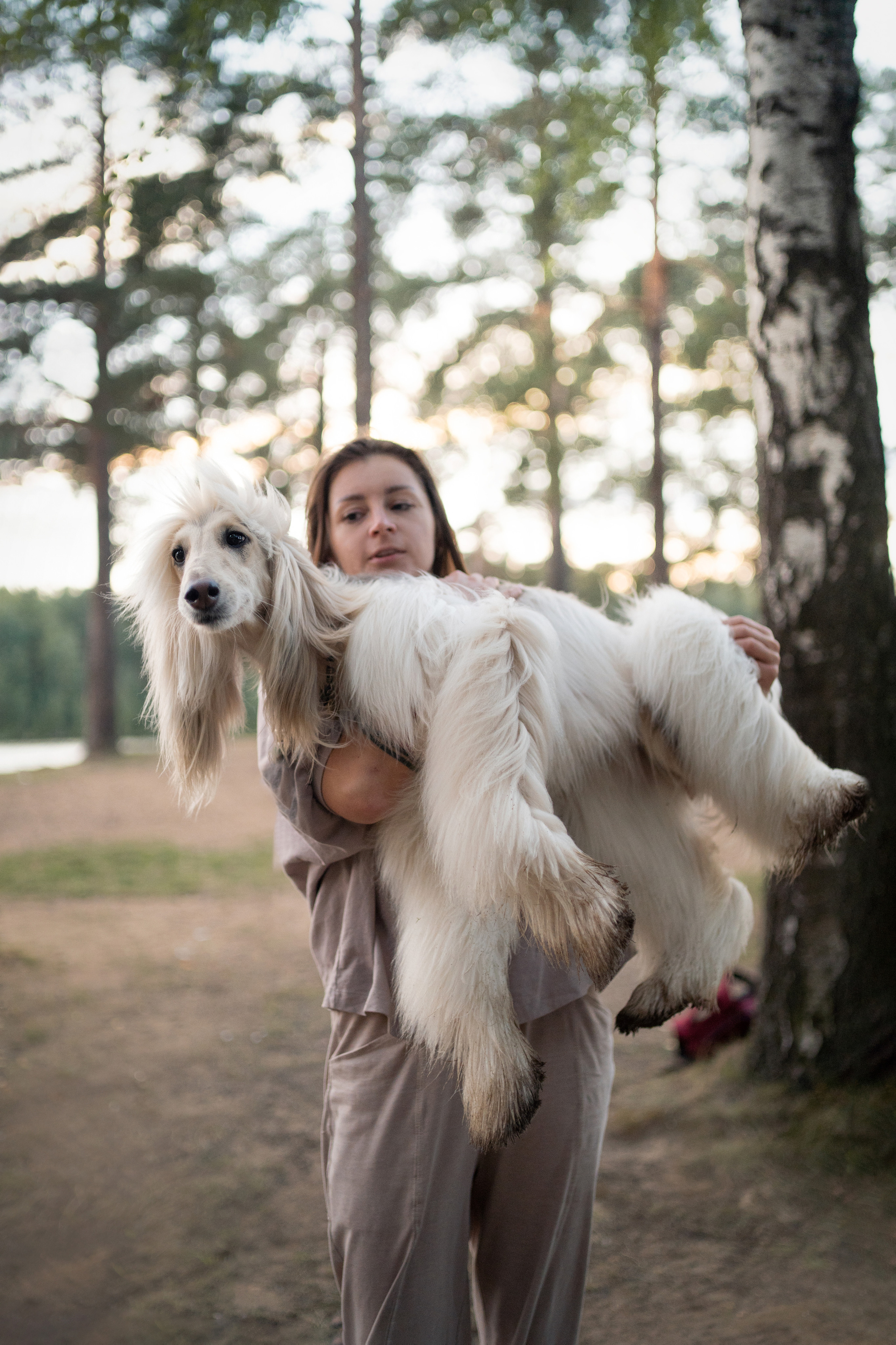 Путь к лесу. Фотограф анималист