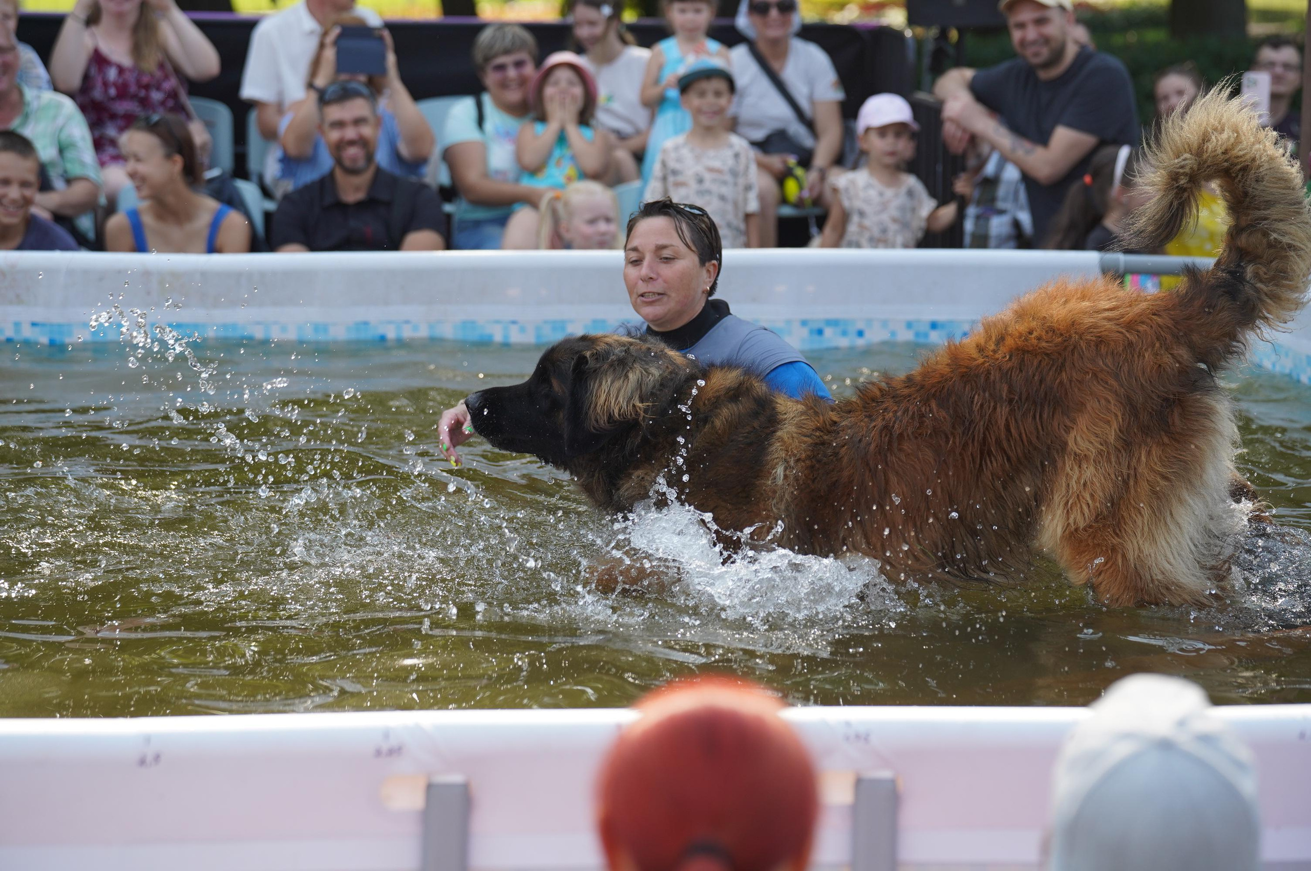 Петшопдей. Фотограф анималист
