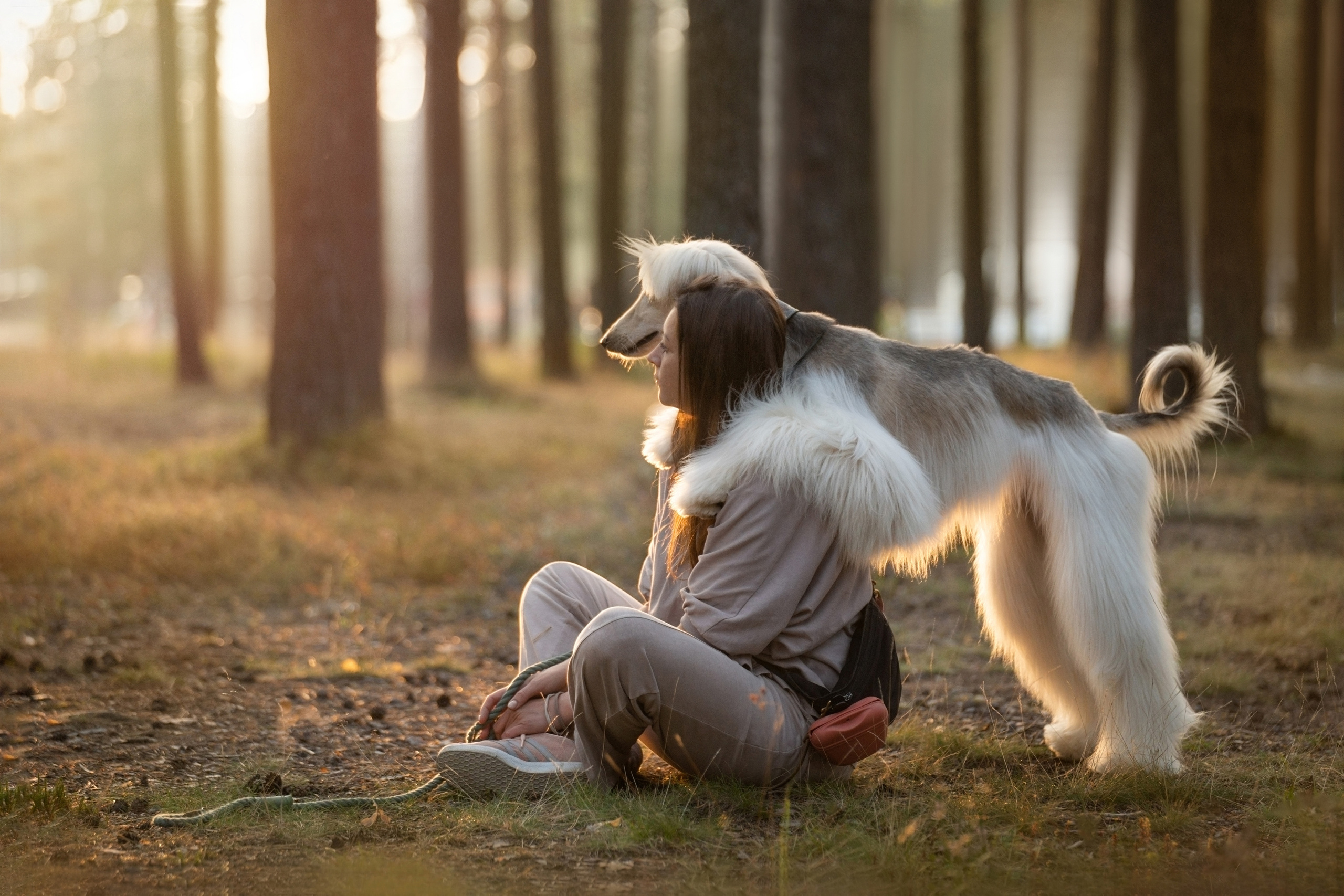 Путь к лесу. Фотограф анималист