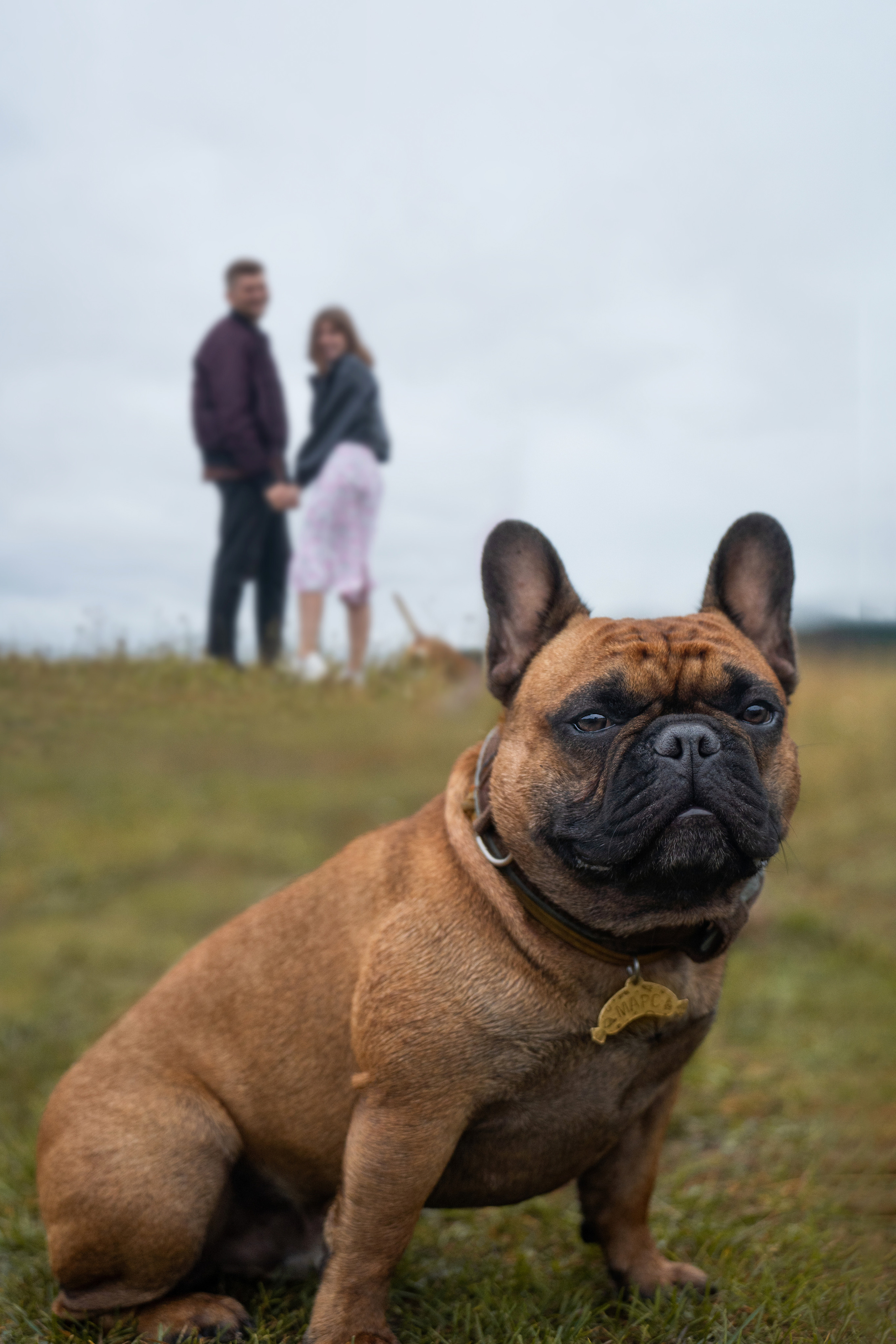 Катя, Антон, Марс и Юта. Фотограф анималист