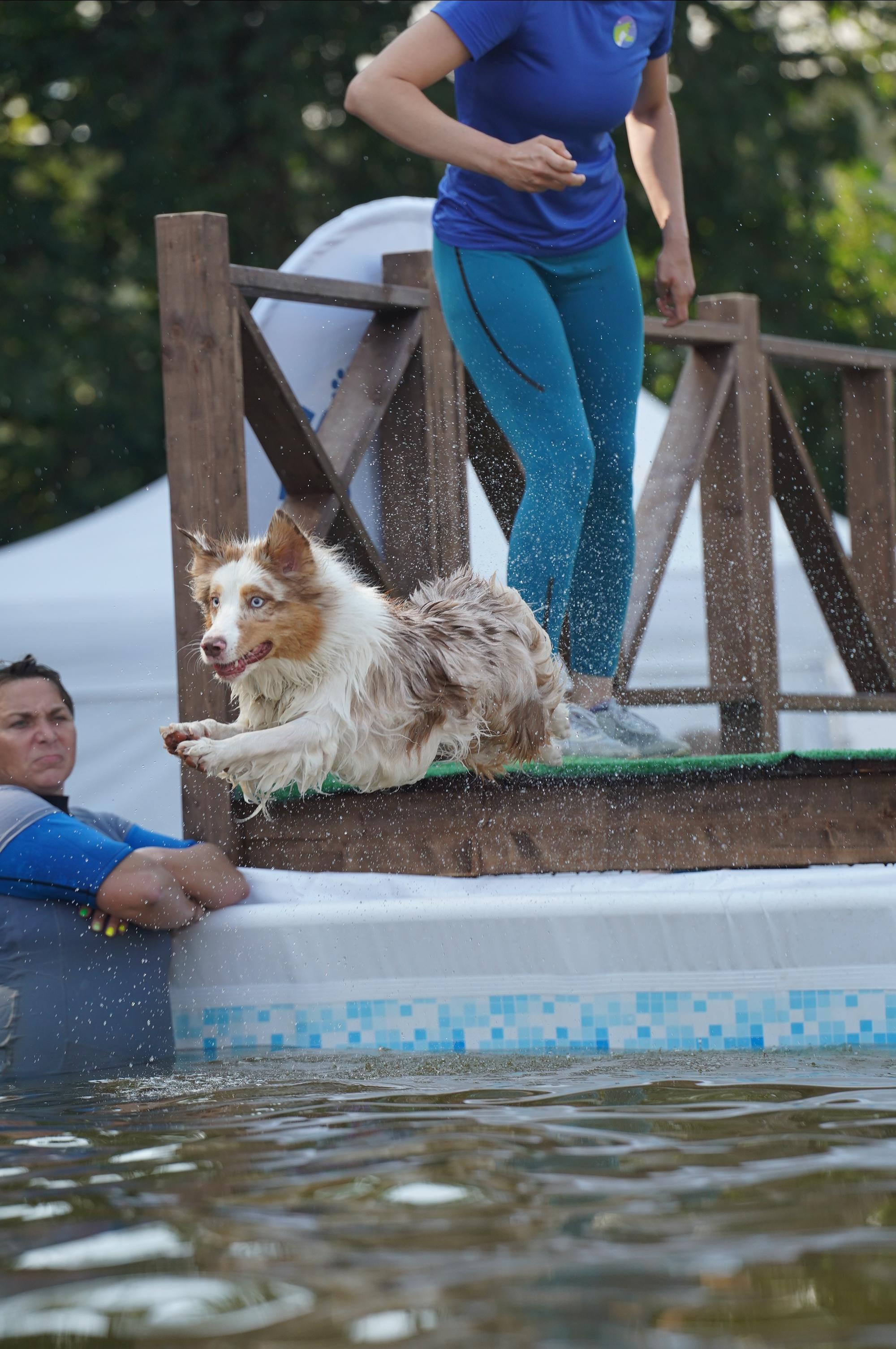 Петшопдей. Фотограф анималист