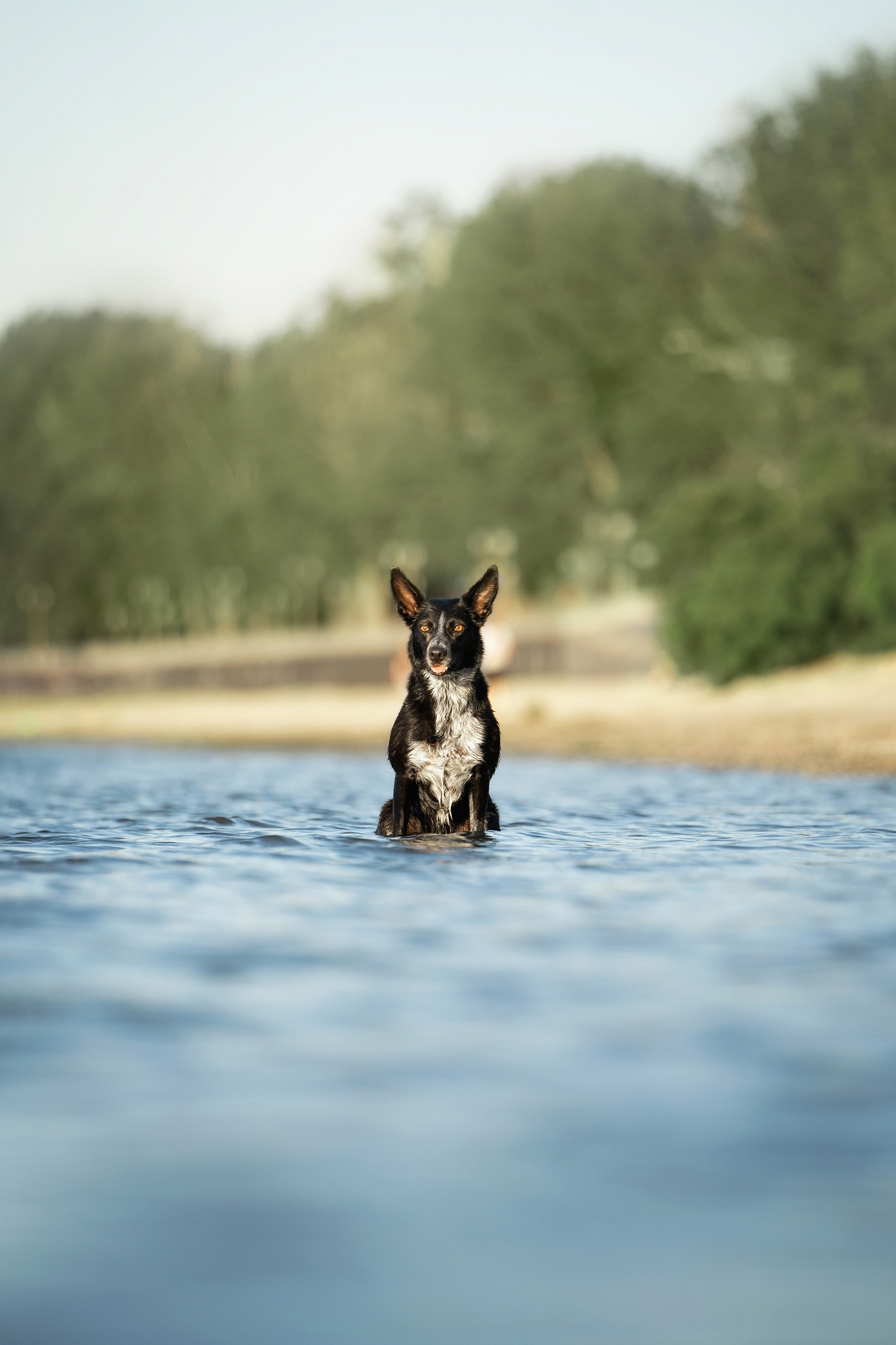 Йота. Фотограф анималист