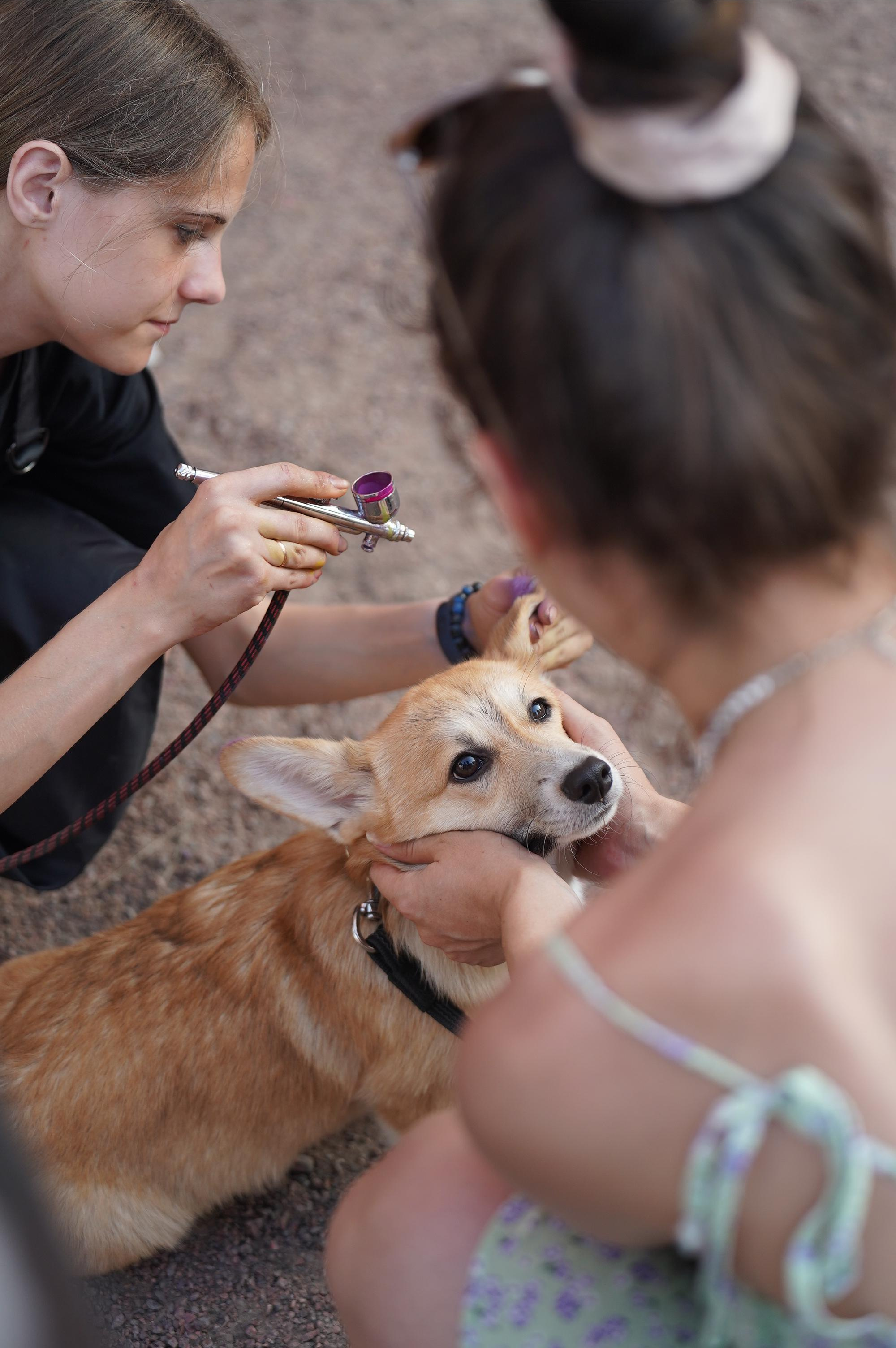 Петшопдей. Фотограф анималист