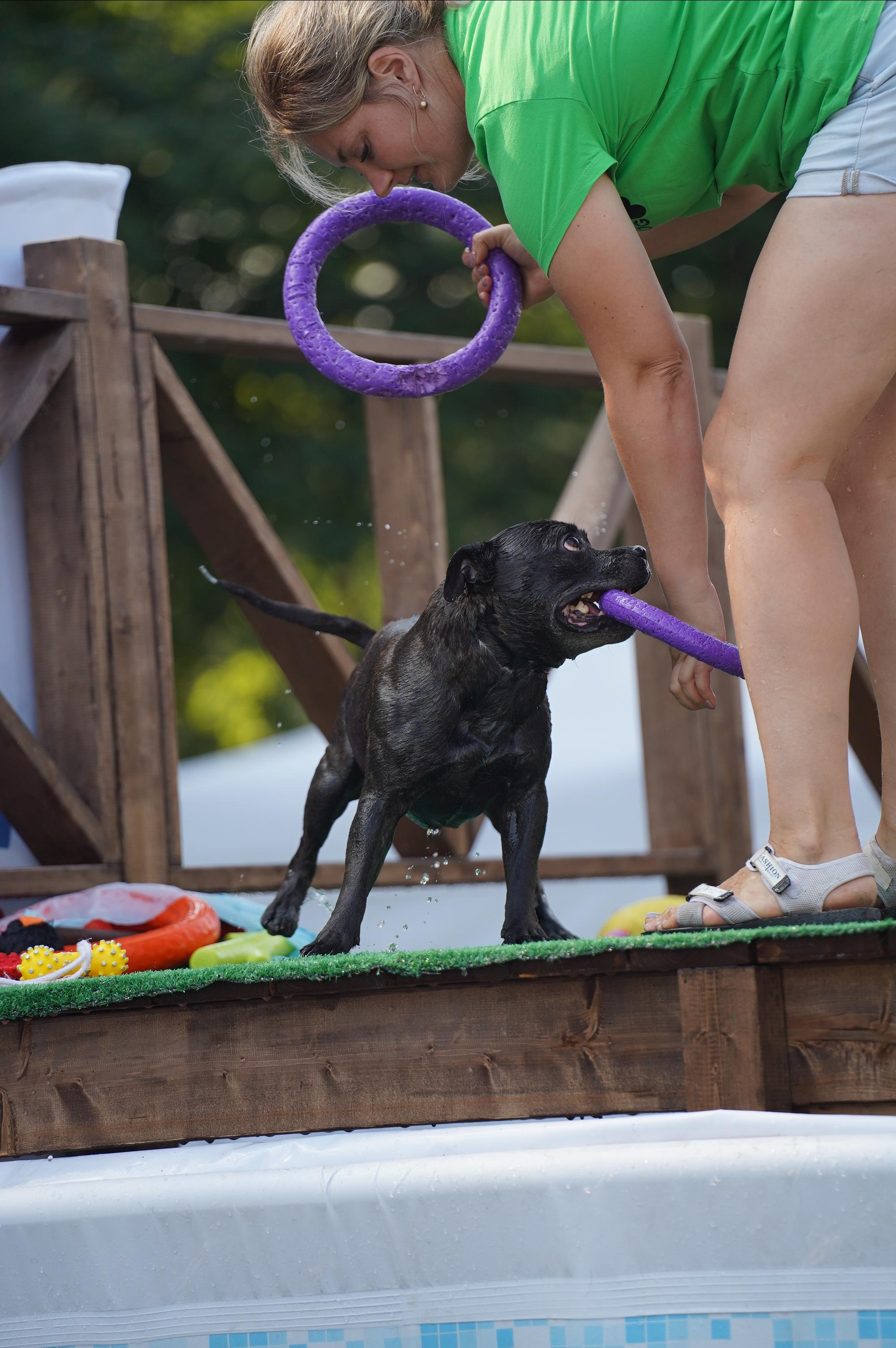 Петшопдей. Фотограф анималист