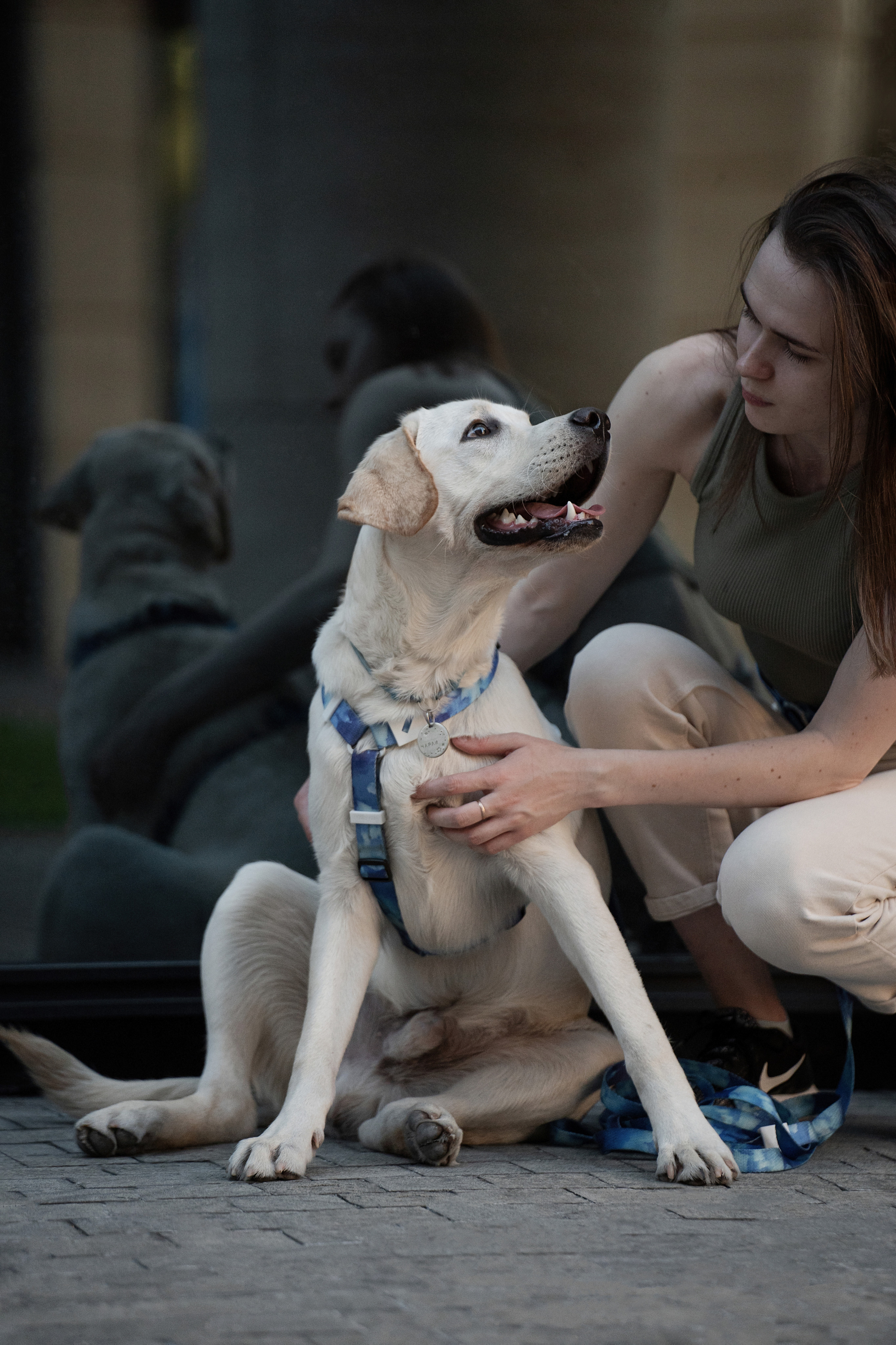Наташа и Чарли. Фотограф анималист
