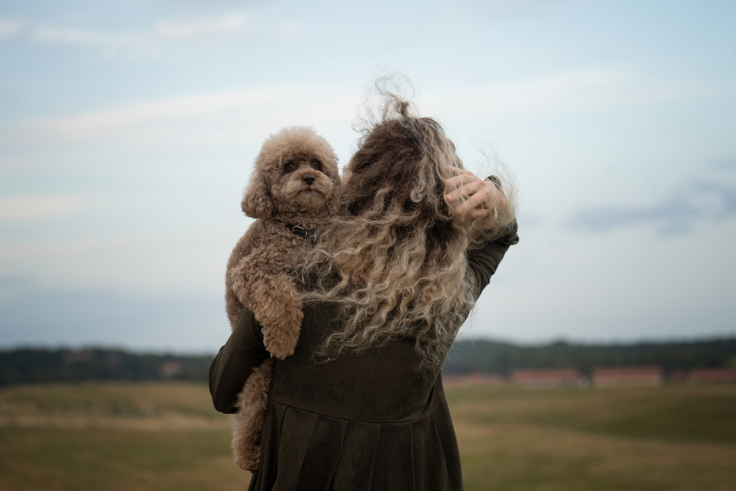 Кудрявая семья. Фотограф анималист