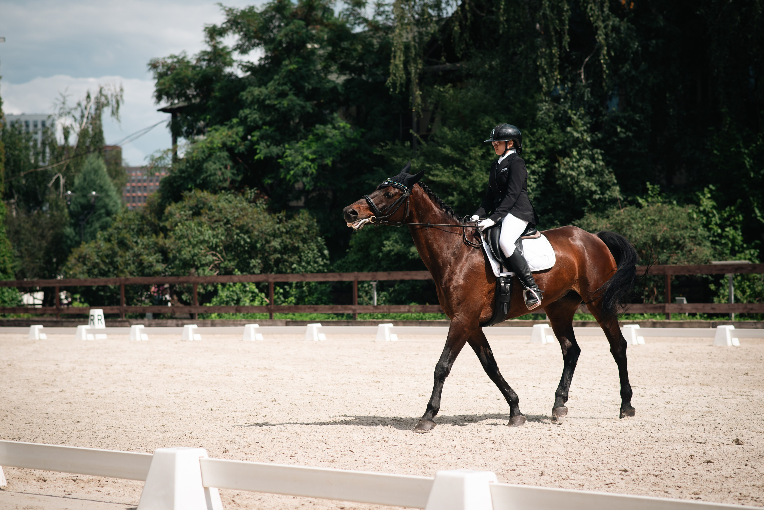 Выездка 10.08.25. Фотограф, визажист. Москва