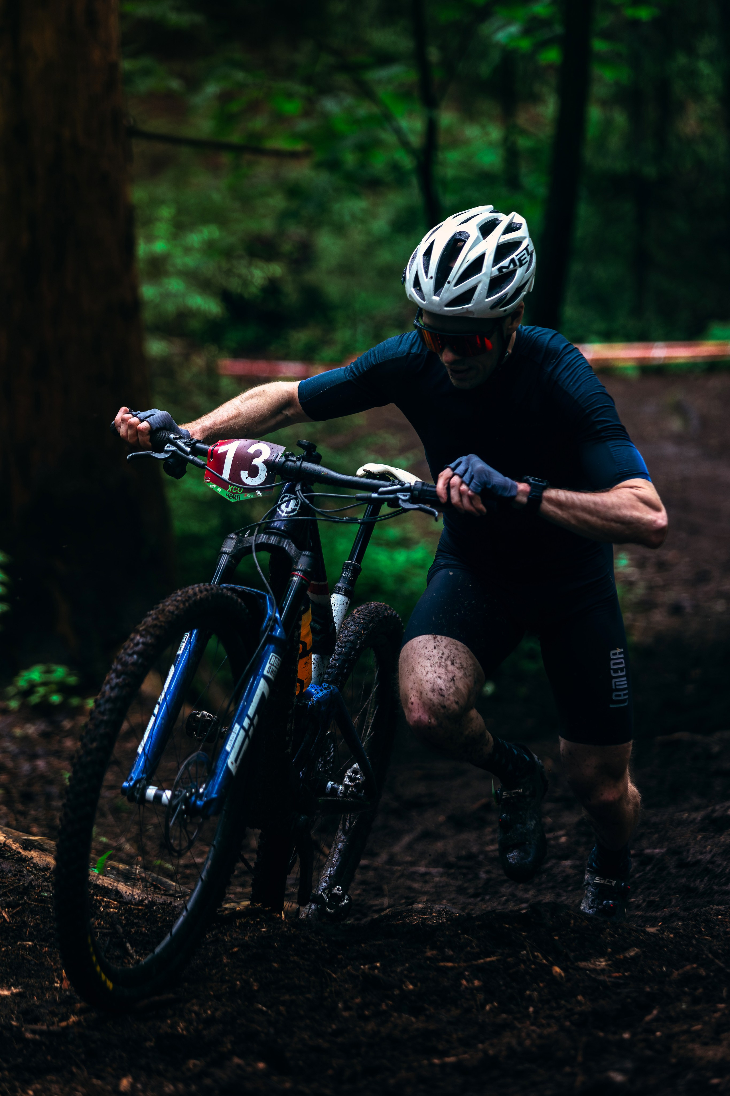 Гонка Юкки. Фотограф анималист Никита Натальный