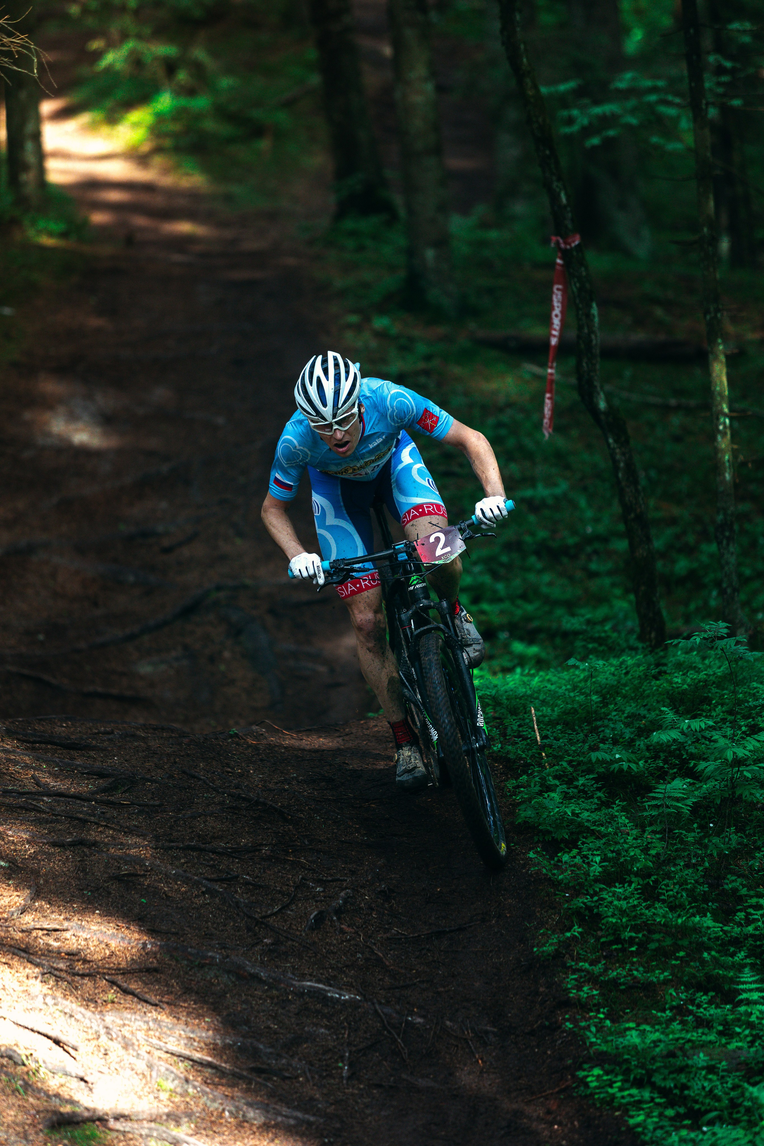 Гонка Юкки. Фотограф анималист Никита Натальный