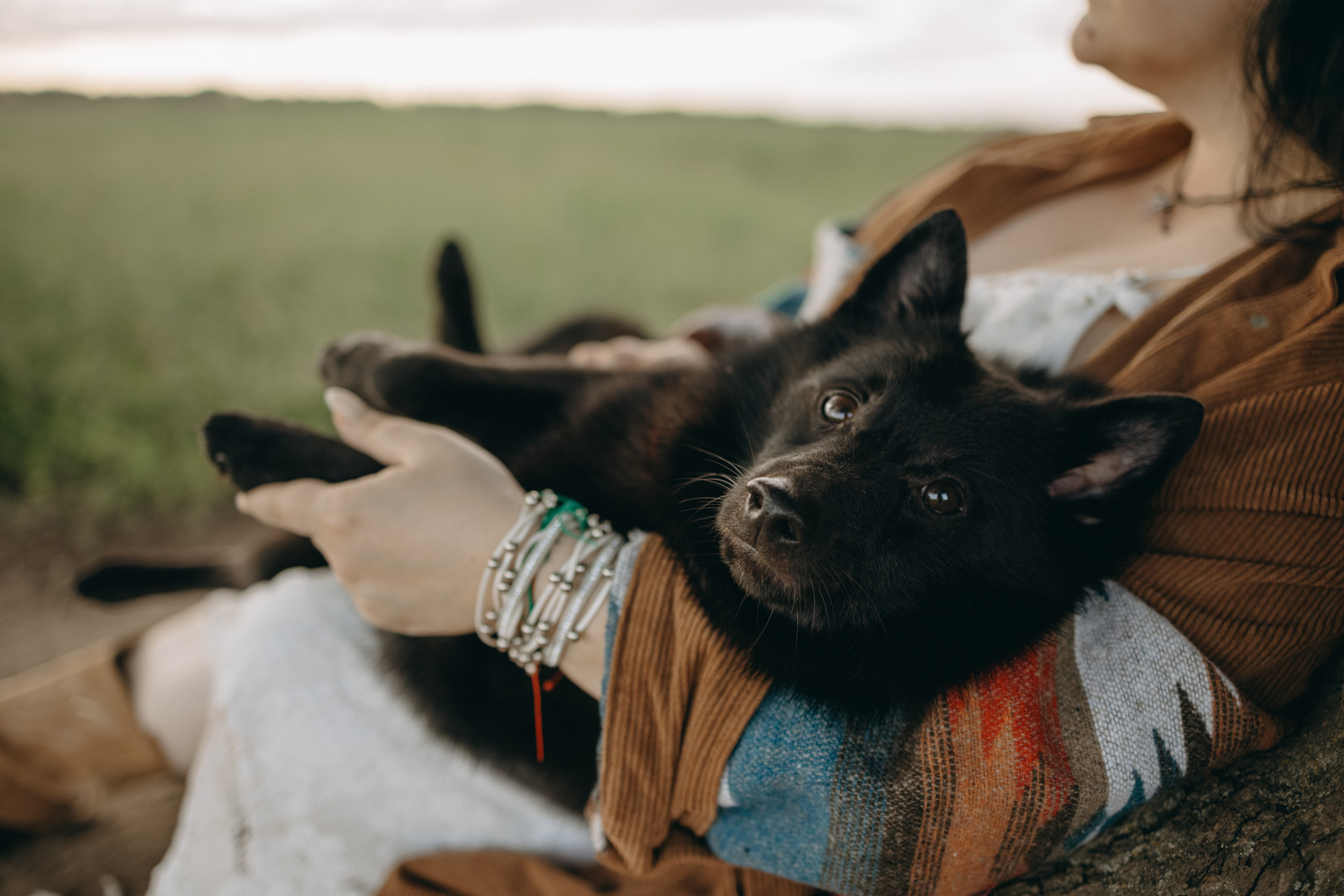 Анна и Максимус. Фотограф — Анималист | Санкт-Петербург