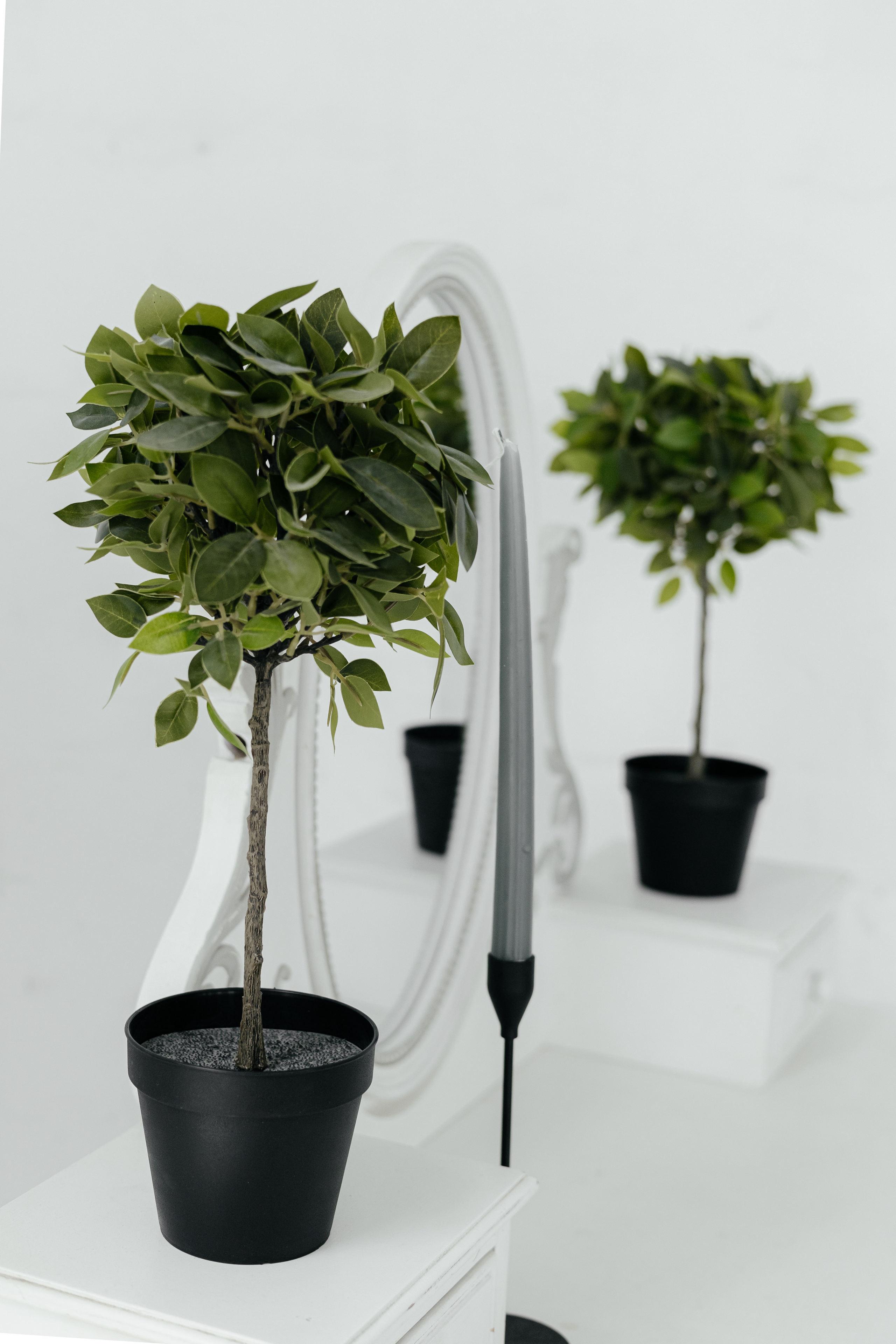 Анастасия. Сборы невесты