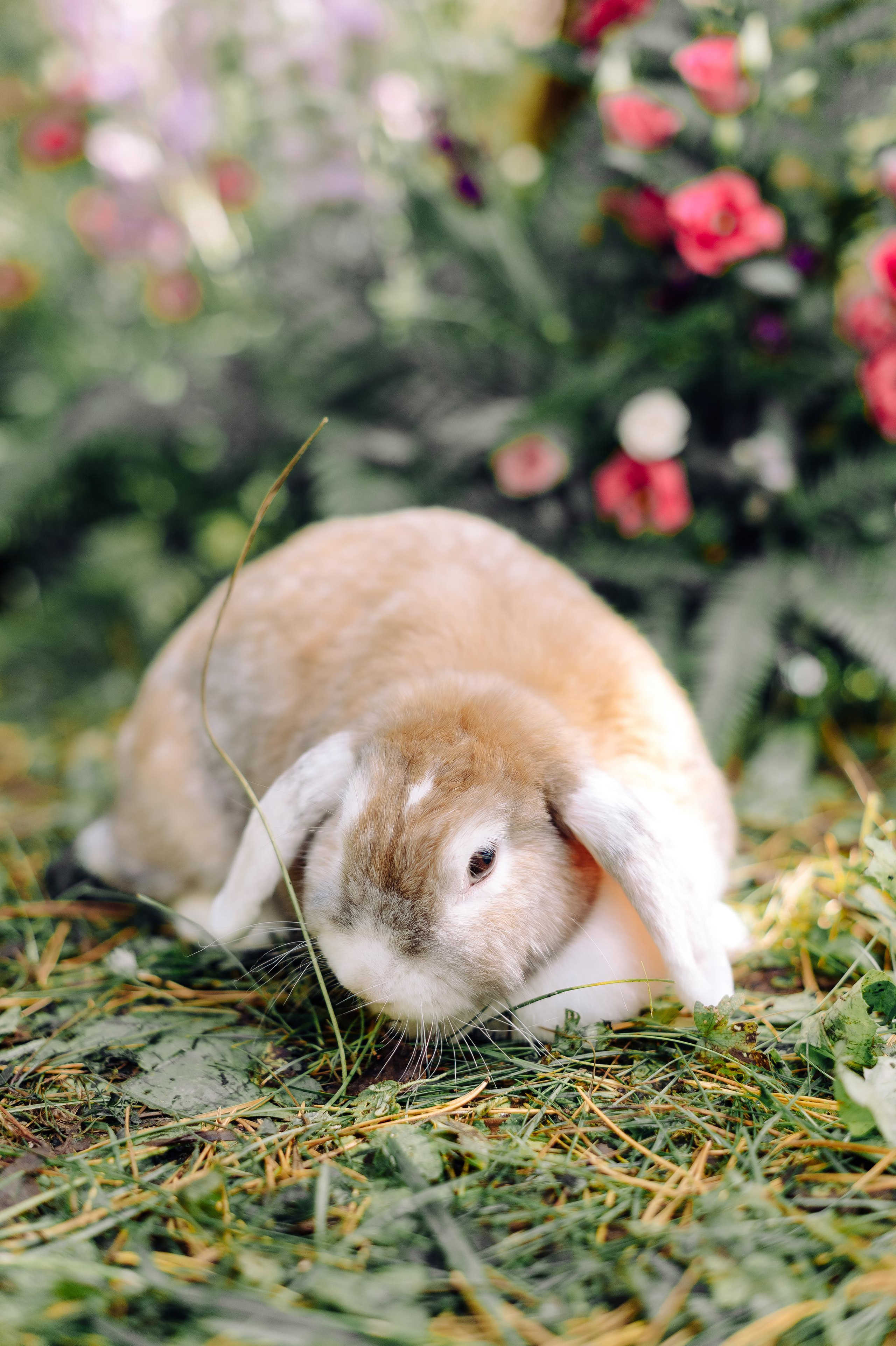 Руслан и Настя. Семейный фотограф в Красноярске Ольга Бородина