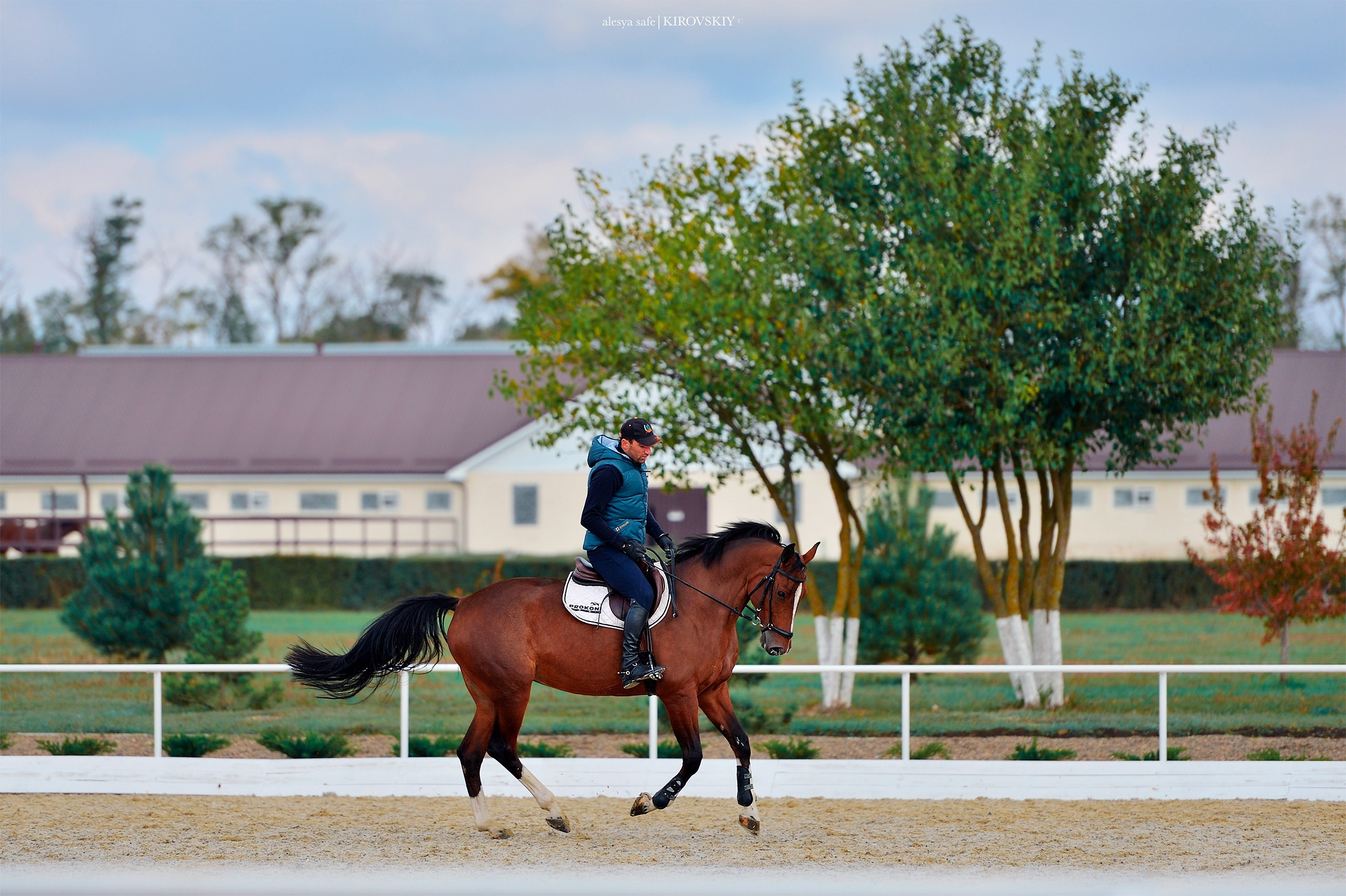Кировский конный завод. Конный фотограф Alesya Safe