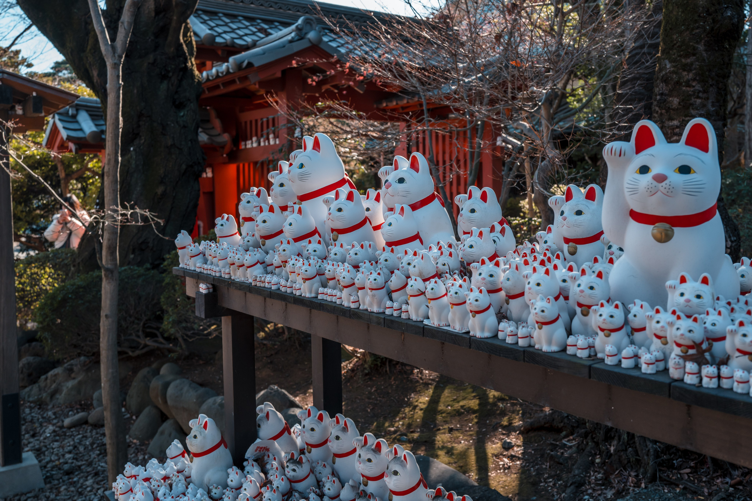 Japan/Япония. @tomrus: Рустам Шагиморданов — фотограф