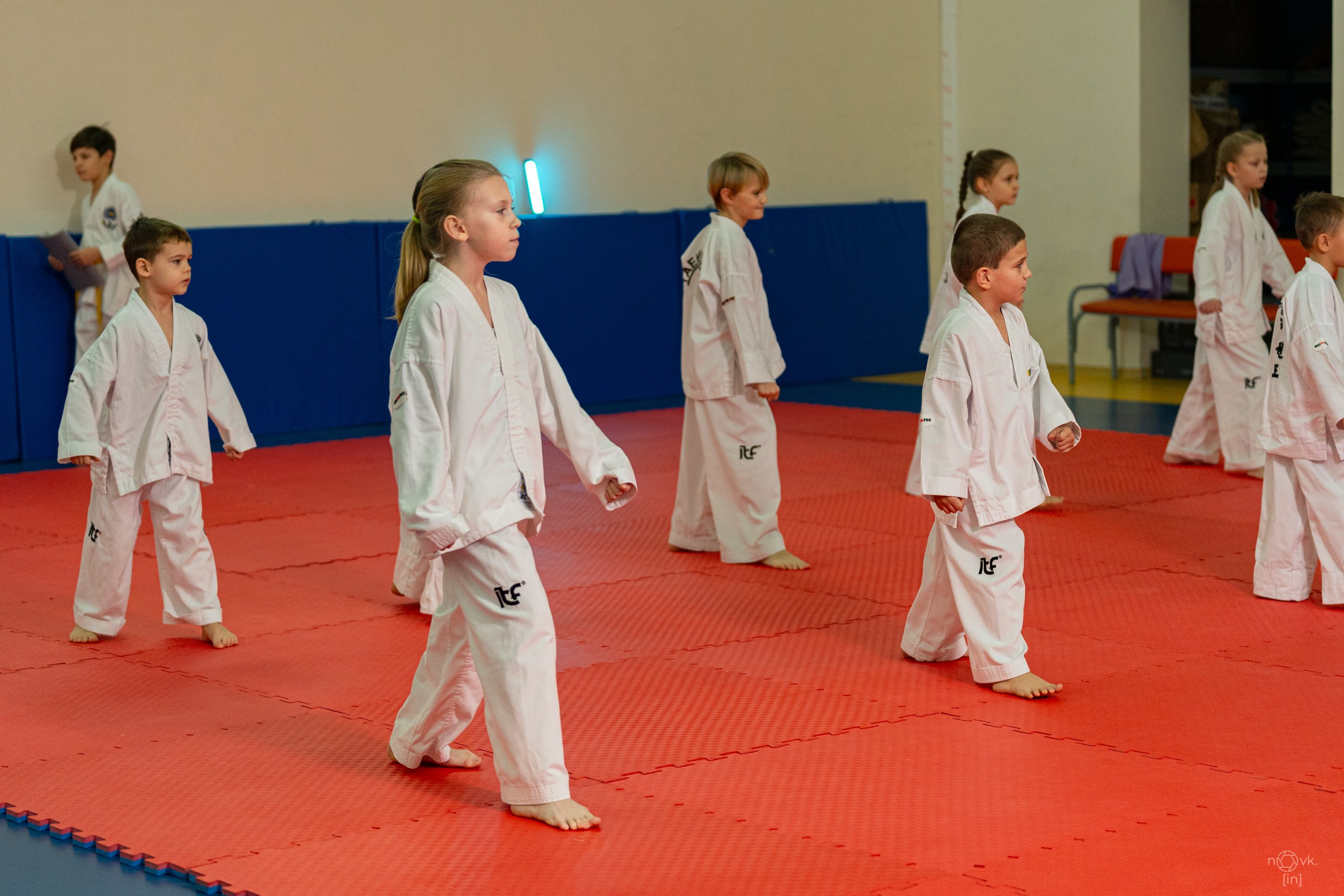 Аттестация Тхэкво. ФОТОГРАФ ИВАН НОВИКОВ | СТАВРОПОЛЬ