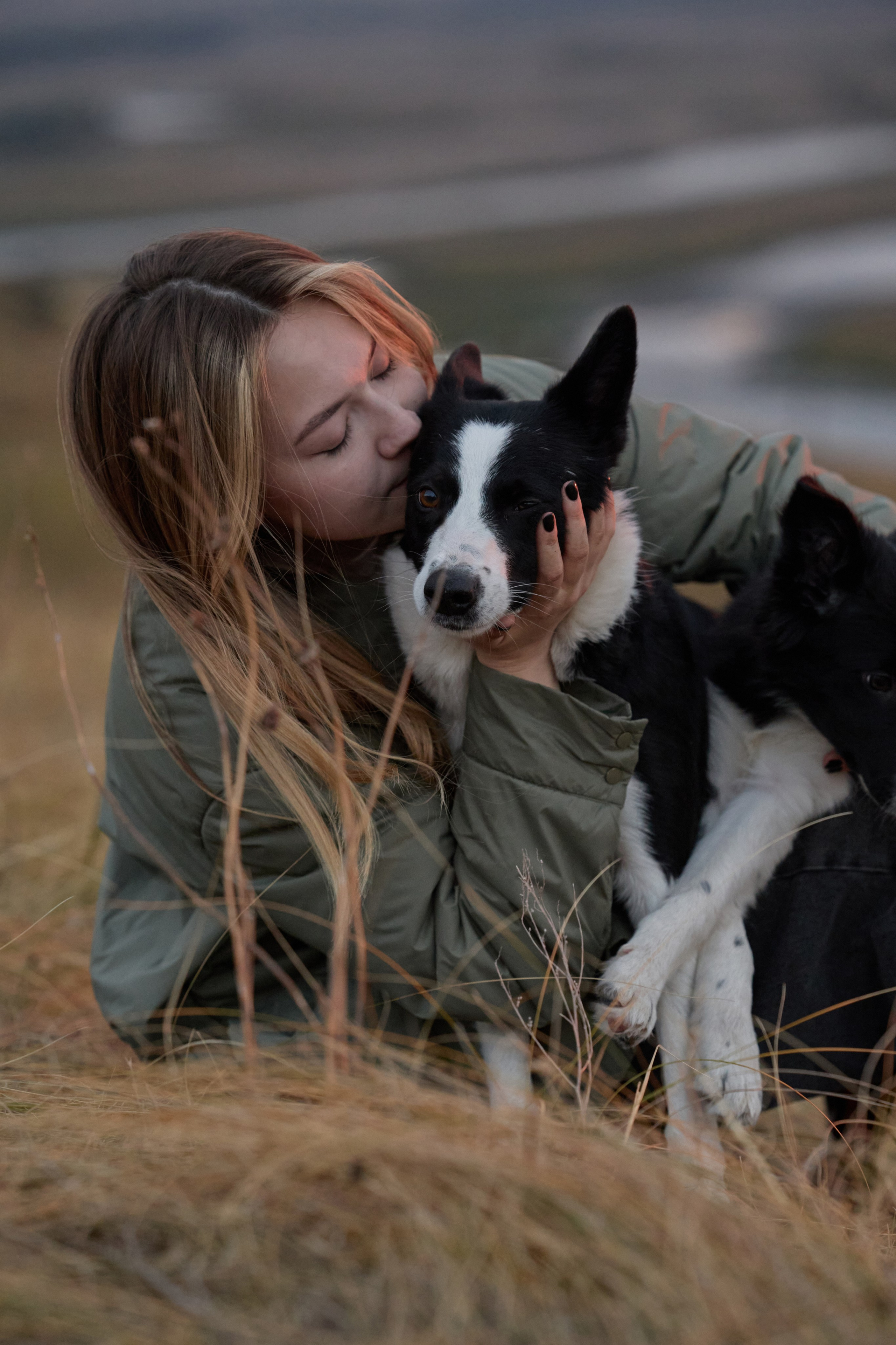Аделя и ее хвостики. Фотограф анималист в Казани Алина Сулейманова. Фотограф животных