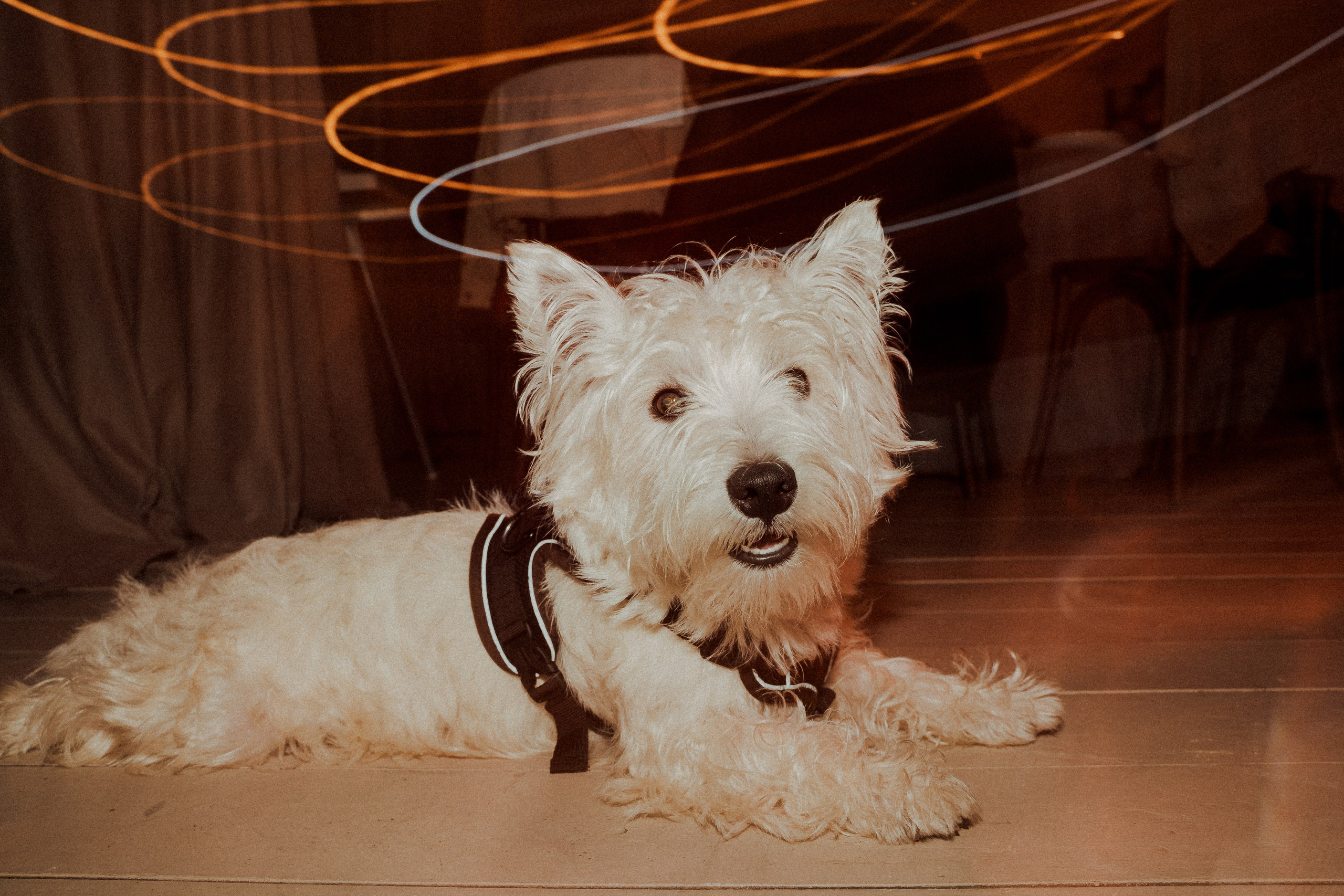 Июльский шторм с горячими сердцами. Свадебный фотограф в Санкт — Петербурге