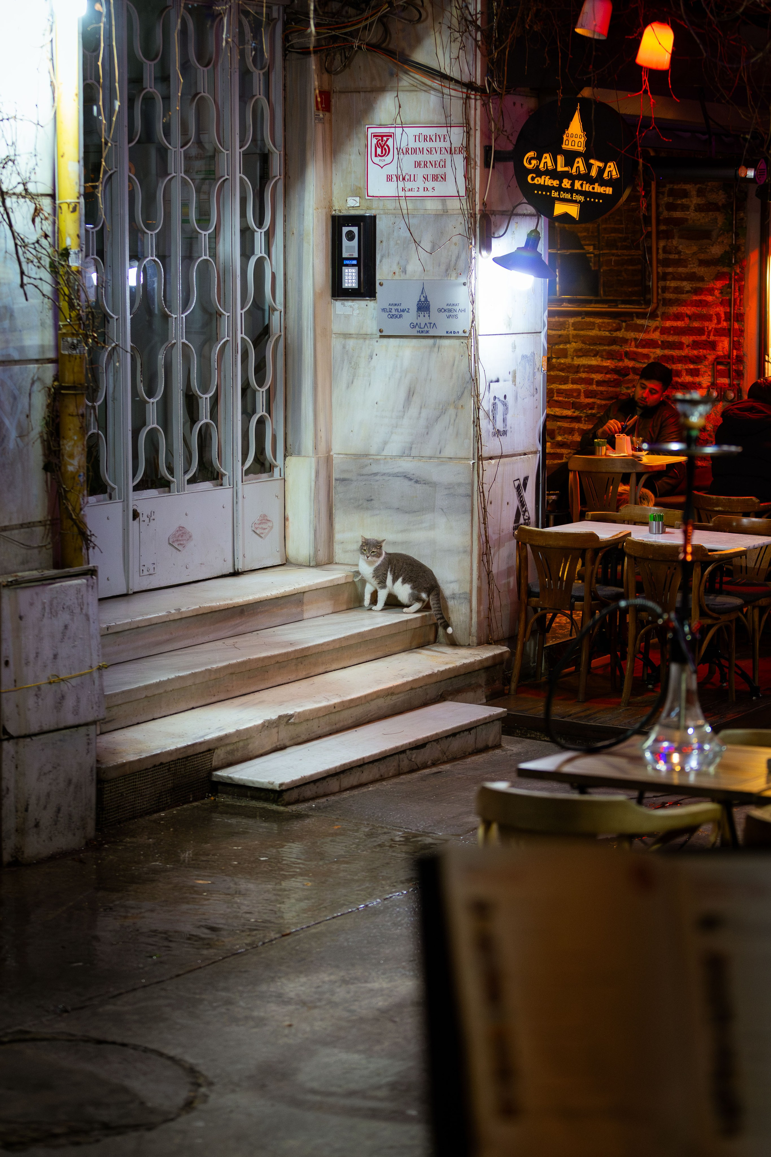 Вьетнам (зима 2025-2026). Фотограф Виноградов Константин