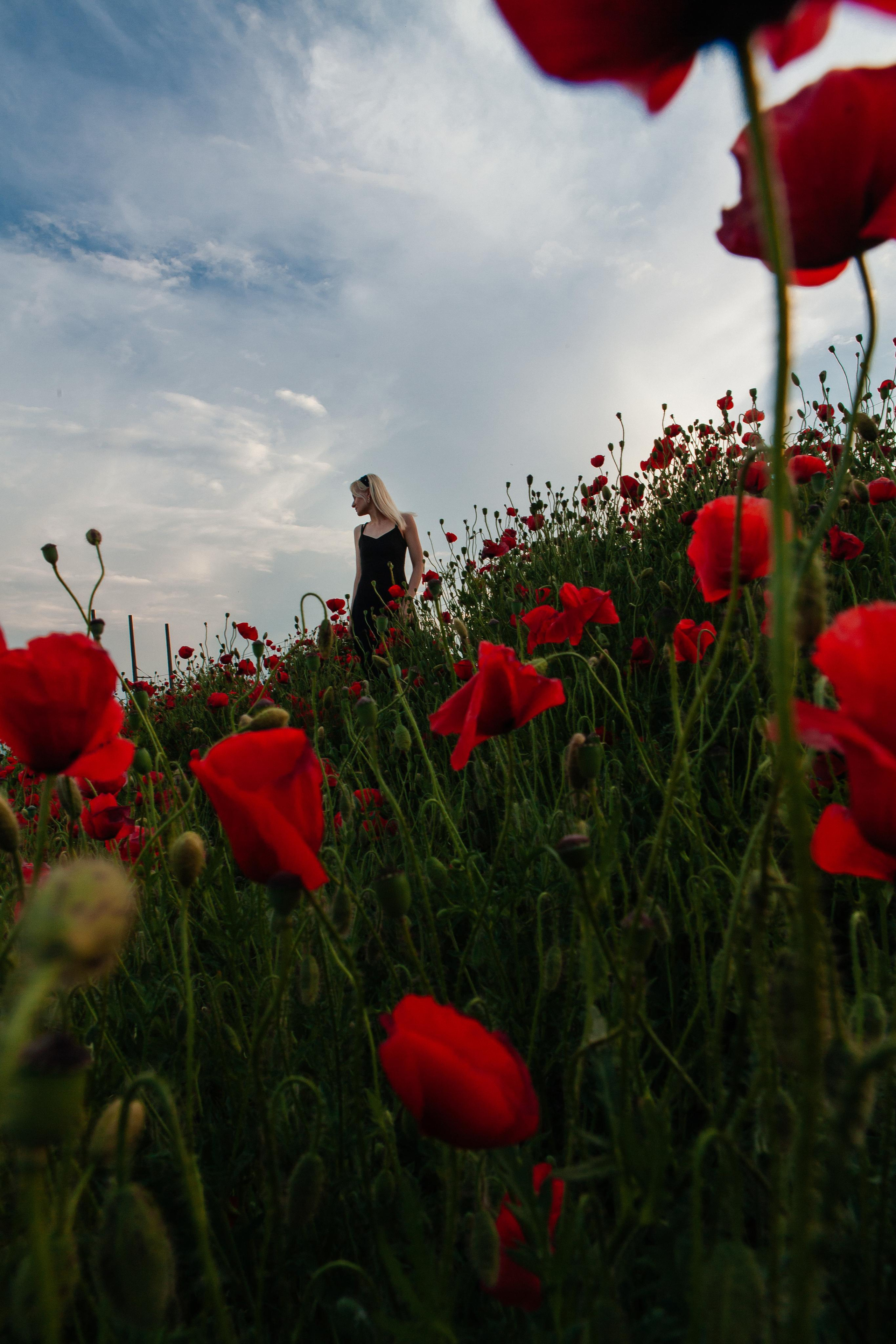 Летняя фотосессия в маковом поле Пятигорск. Фотограф Ставрополь Пятигорск Елизавета Дарина