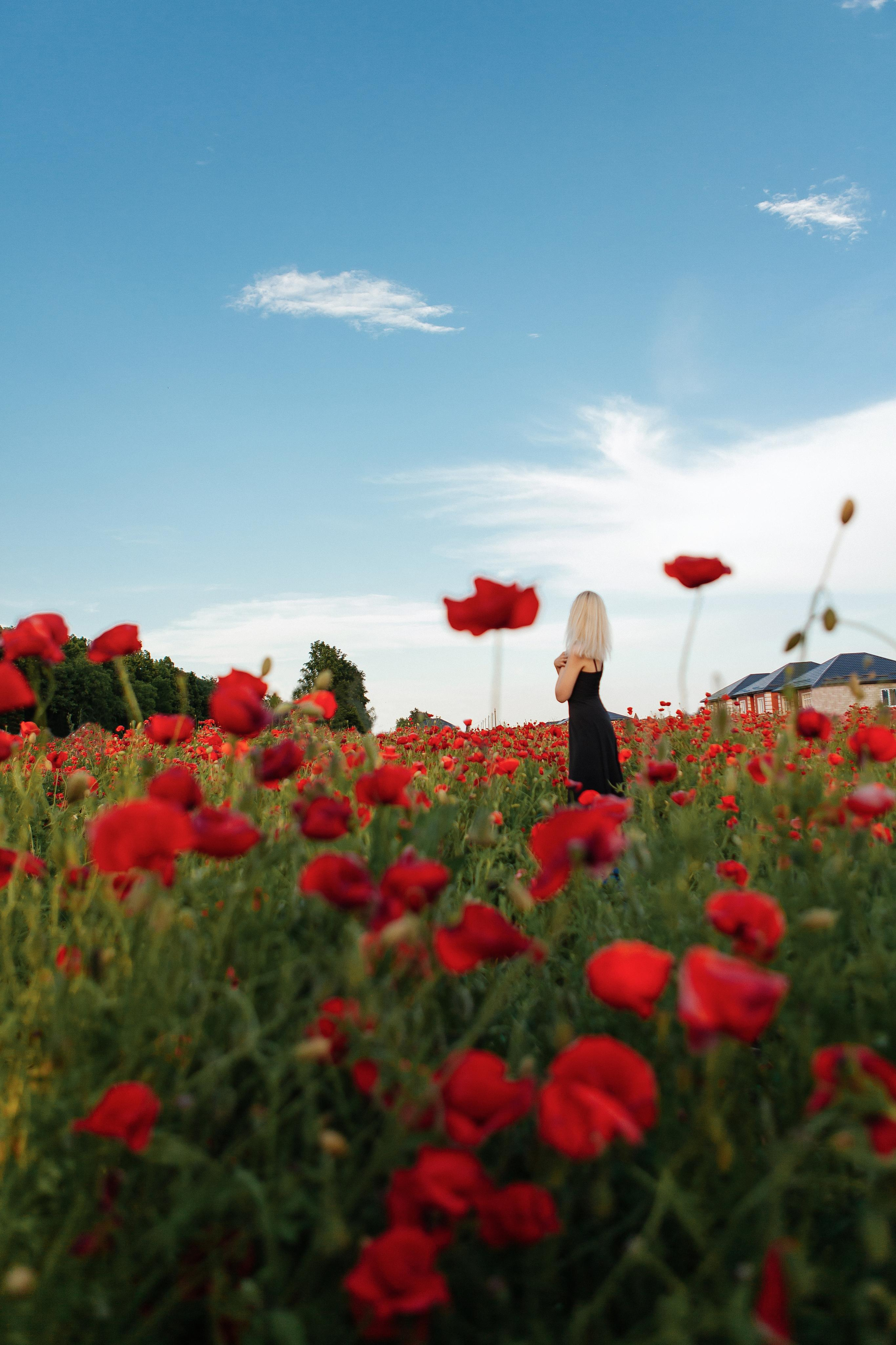Летняя фотосессия в маковом поле Пятигорск. Фотограф Ставрополь Пятигорск Елизавета Дарина
