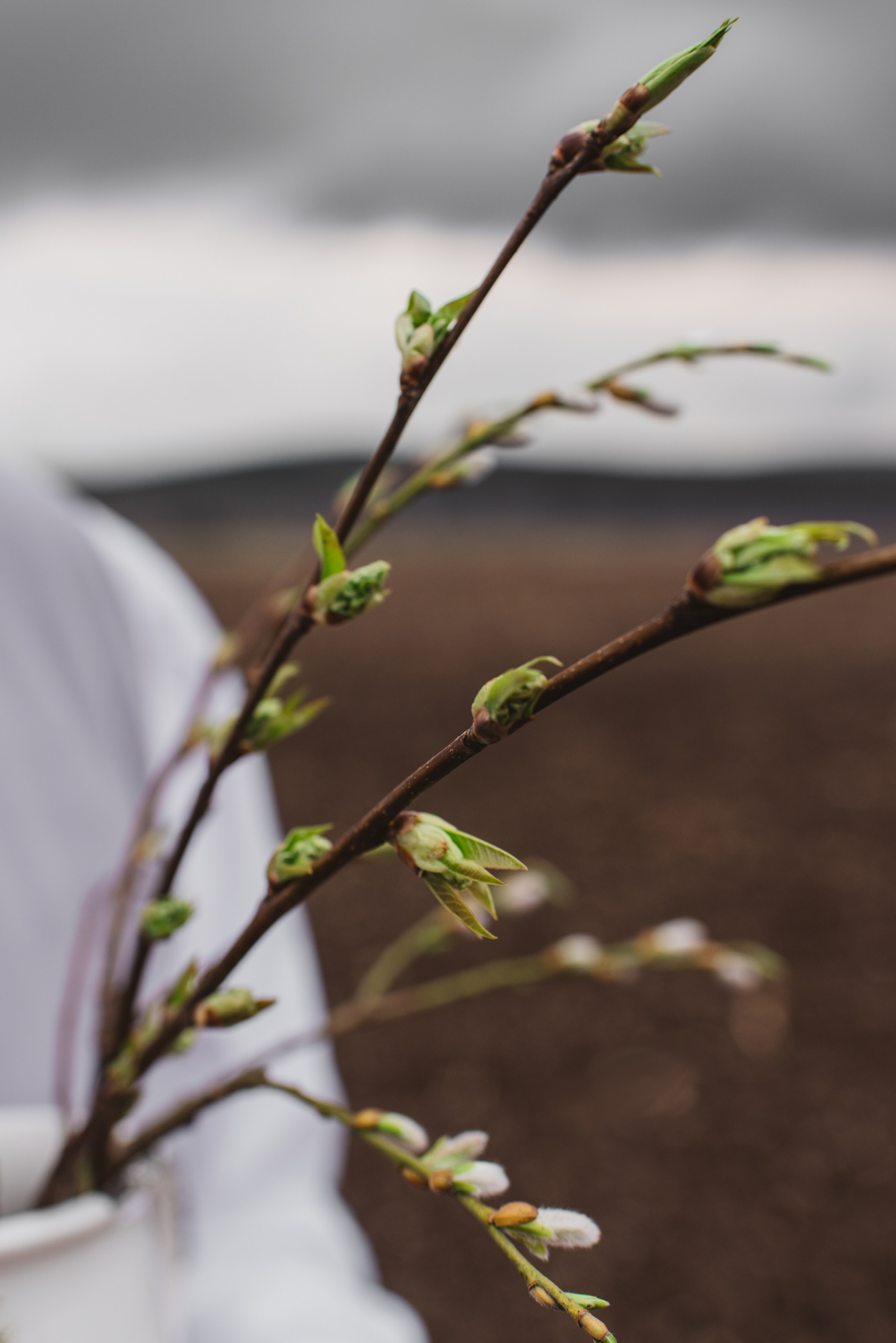 Настя. Сайт портфолио