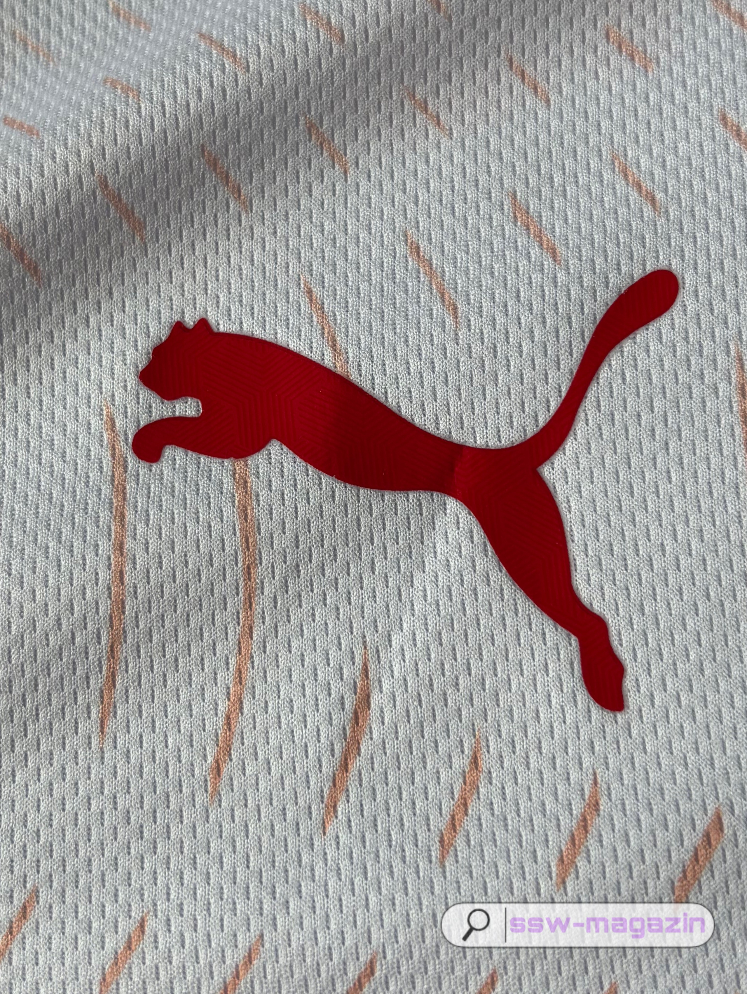 Футболка red bull 2026 купить. Футбольный магазин — ssw_magazin