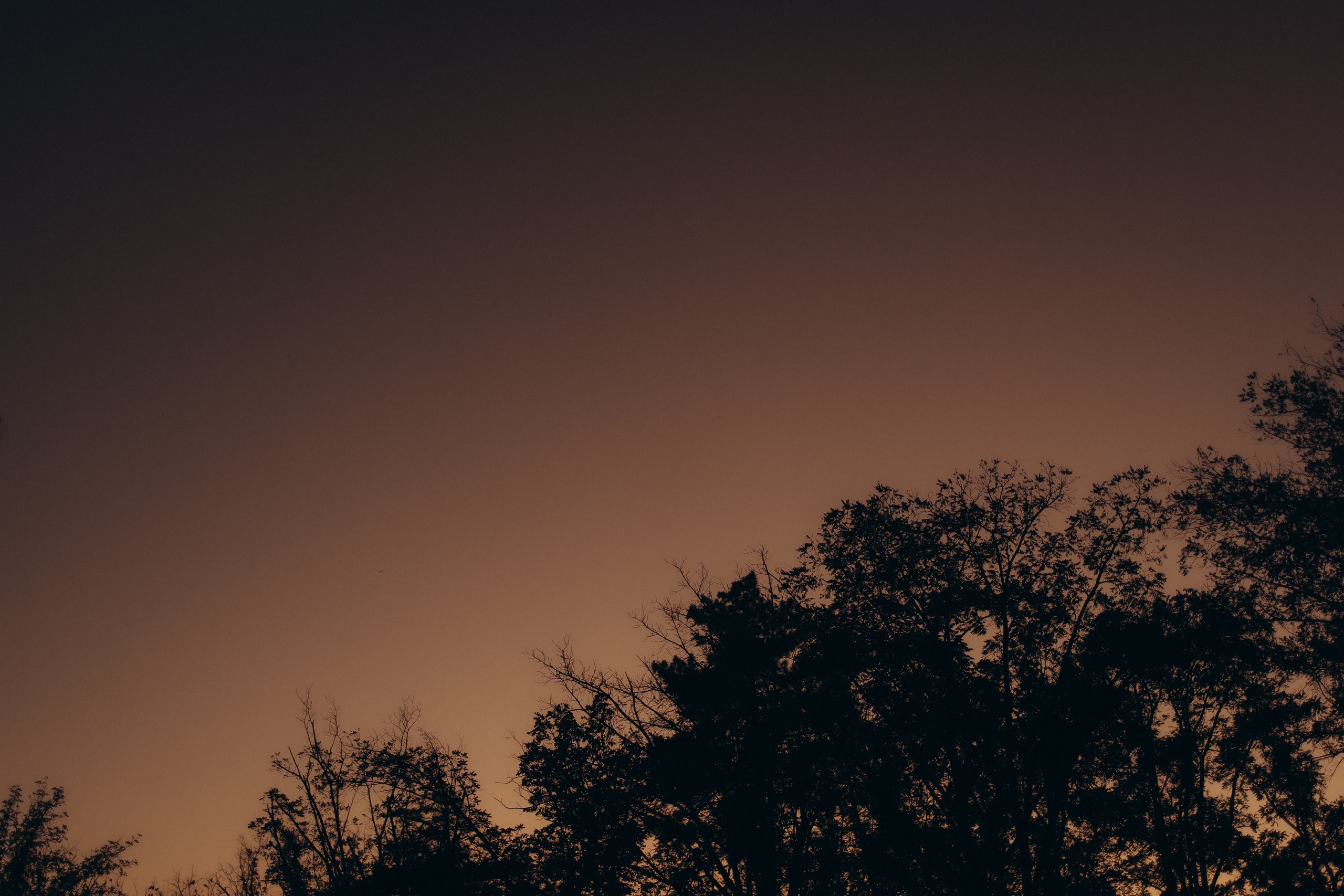 Андрей и Юля — осень. Семейный фотограф в Краснодаре Храмова Анна