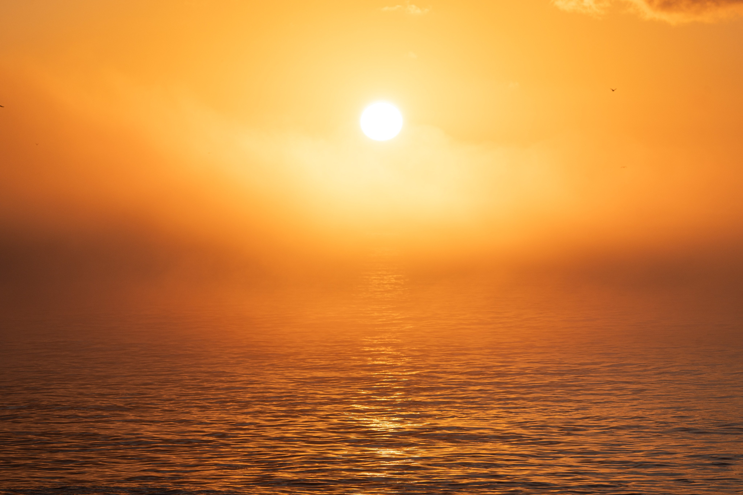 Сахалин 2025. Творческие сьемки