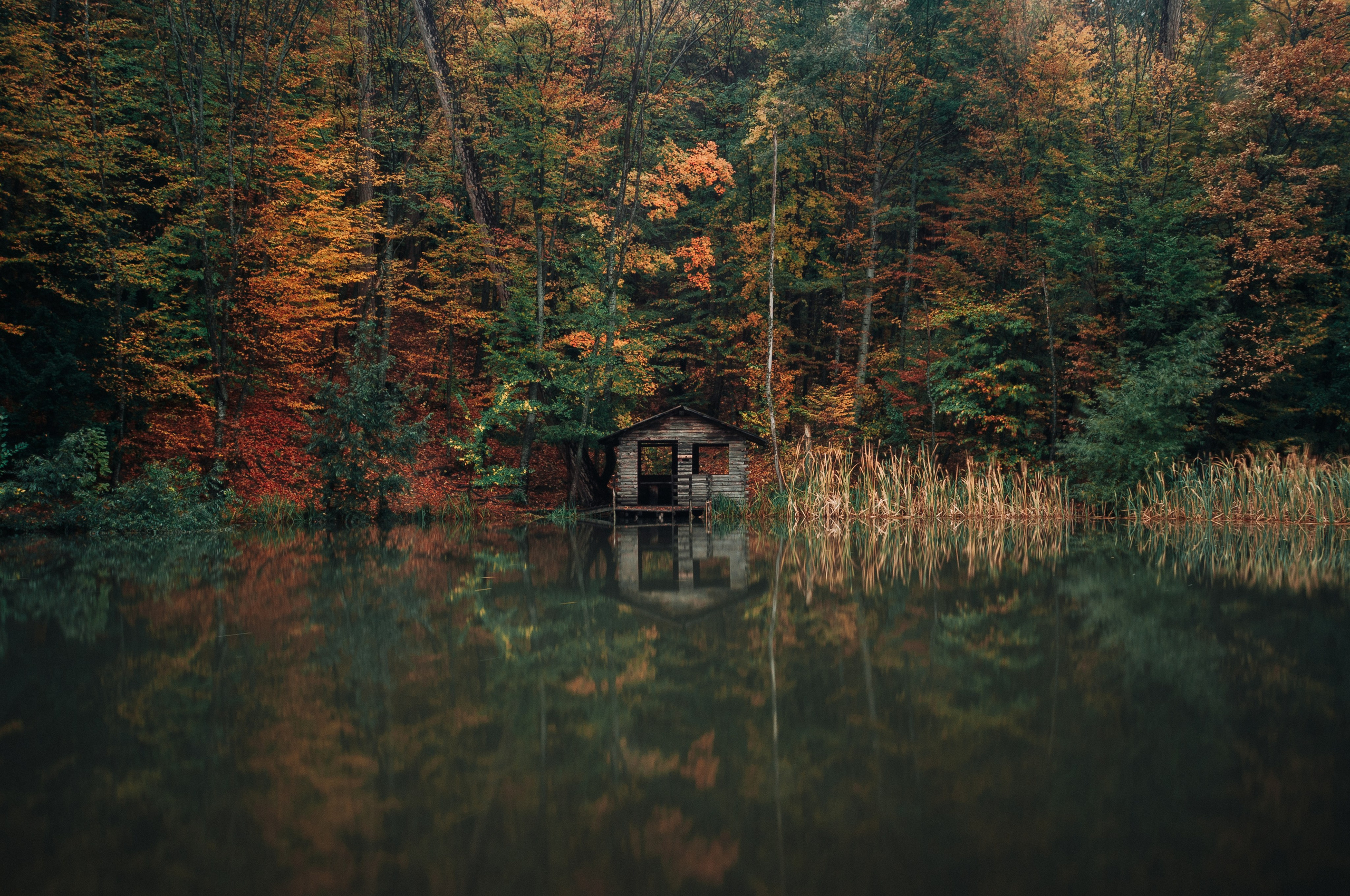 Пейзажи. Дмитрий Шалыгин — Ваш фотограф в Севастополе и Крыму