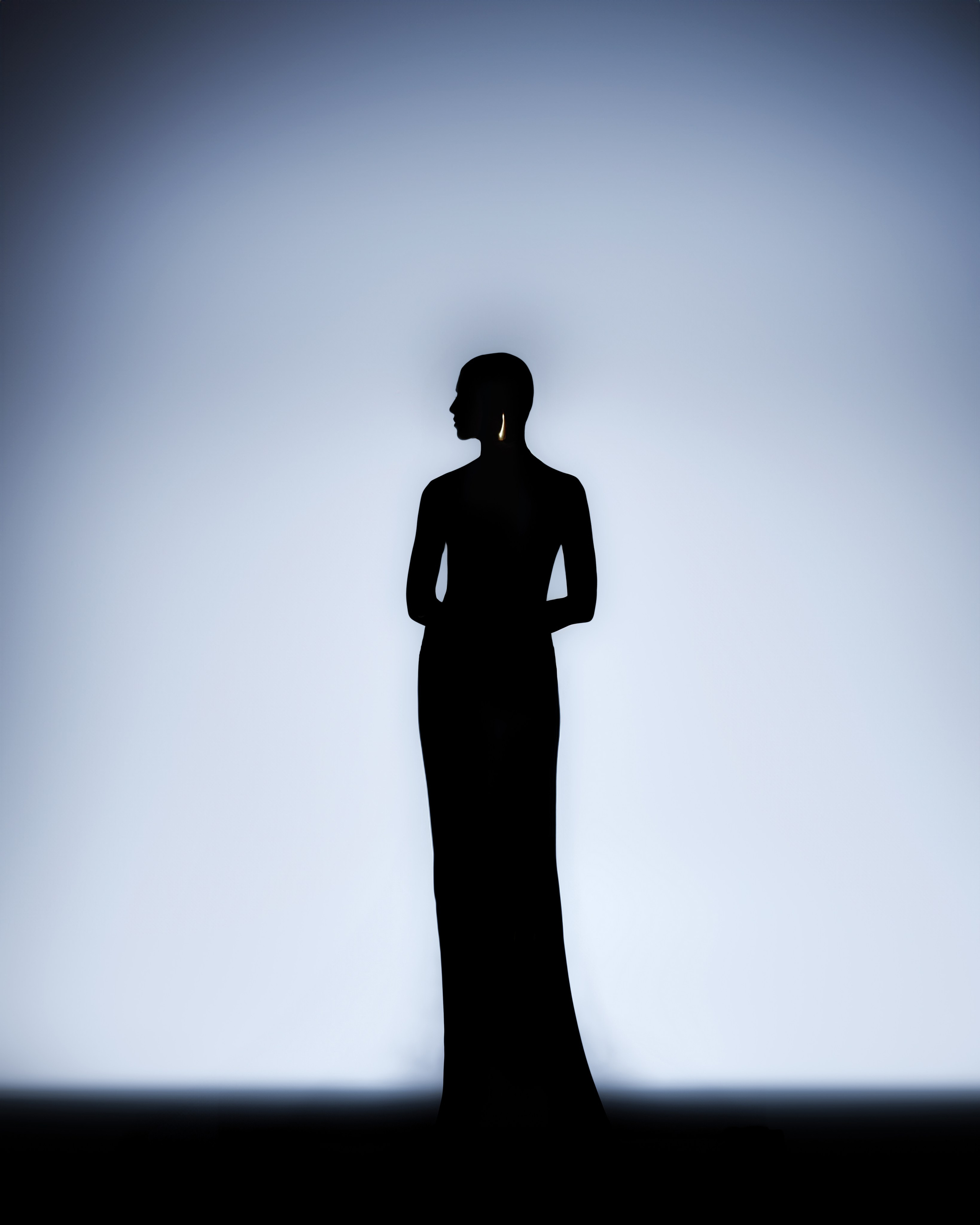 Silhouette / Art project