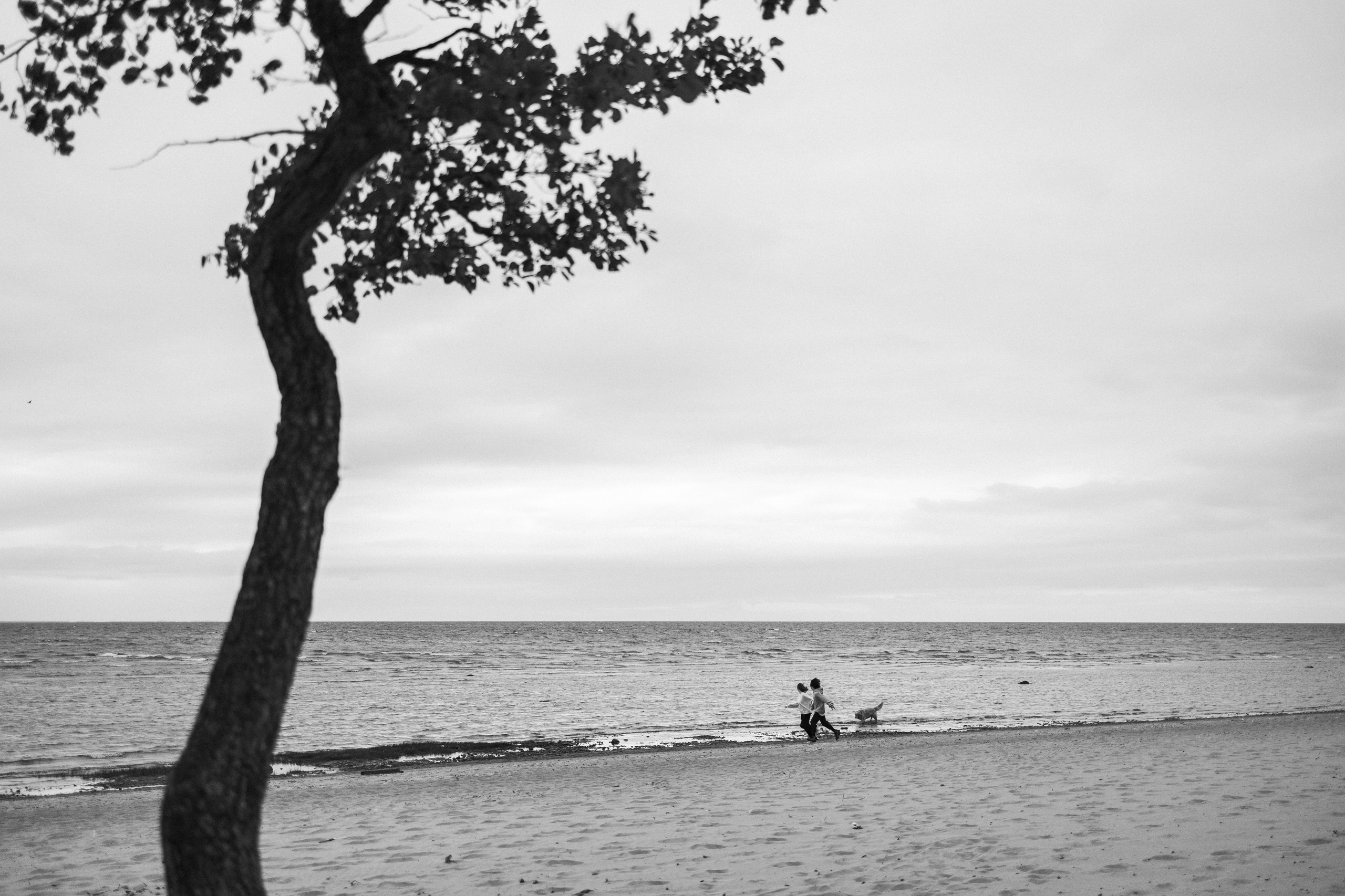 Фоси и его семьи. Фотограф — Анималист | Санкт-Петербург