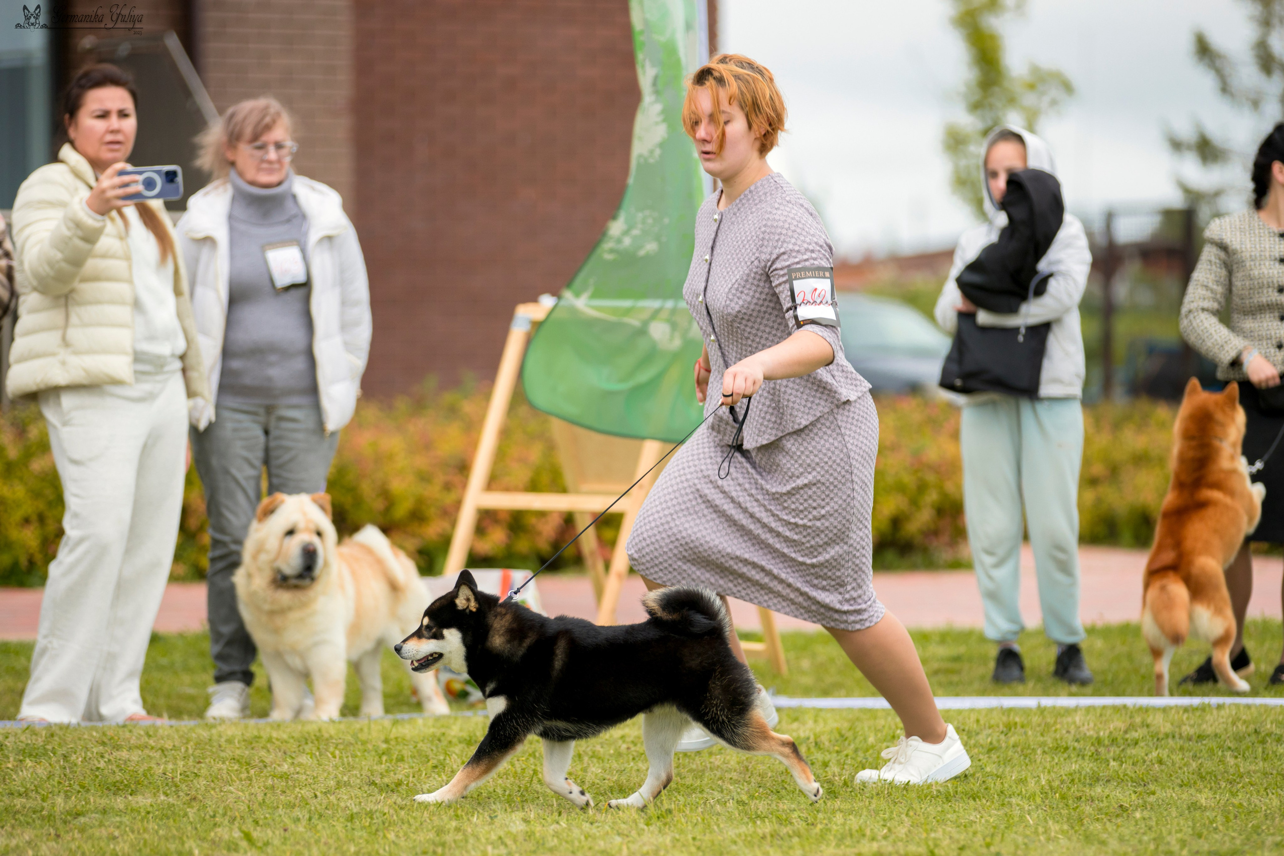 Переславль 9-10.09.2023. Фотограф-анималист Юлия Германика