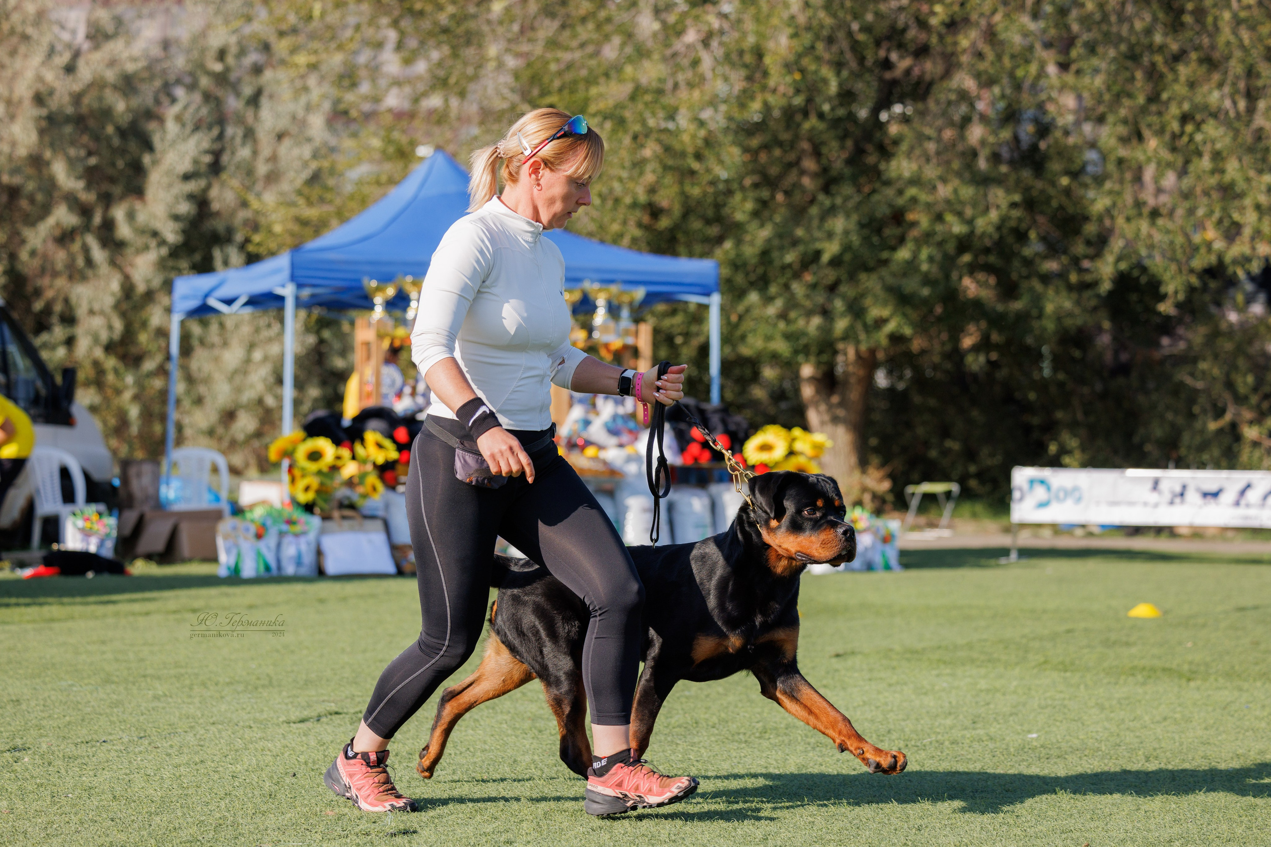 Анапа ротвейлеры 14-15.09.2024. Фотограф-анималист Юлия Германика