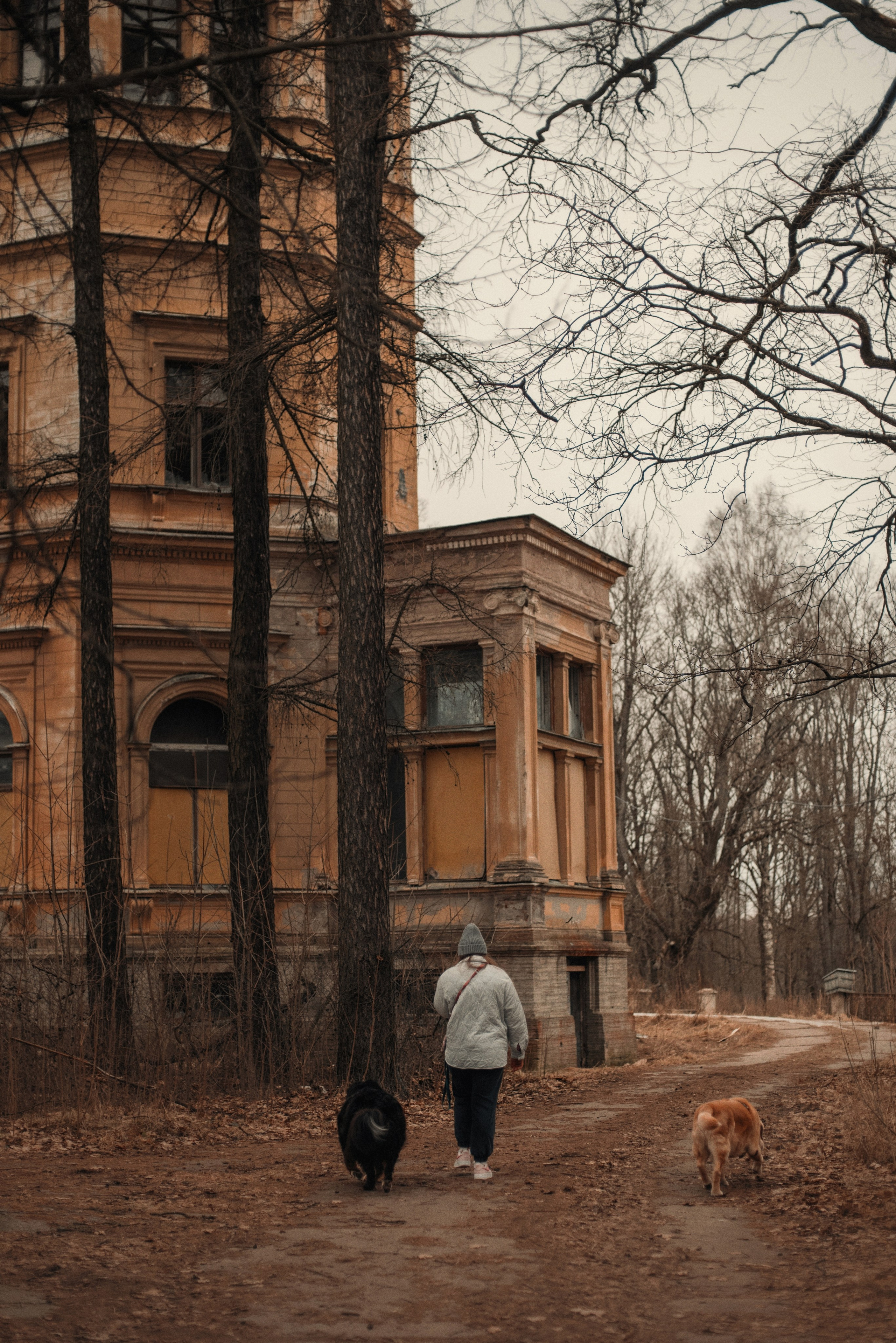 Прогулка: берн Пума, Фрэнк и Юля в Питере. Портфолио