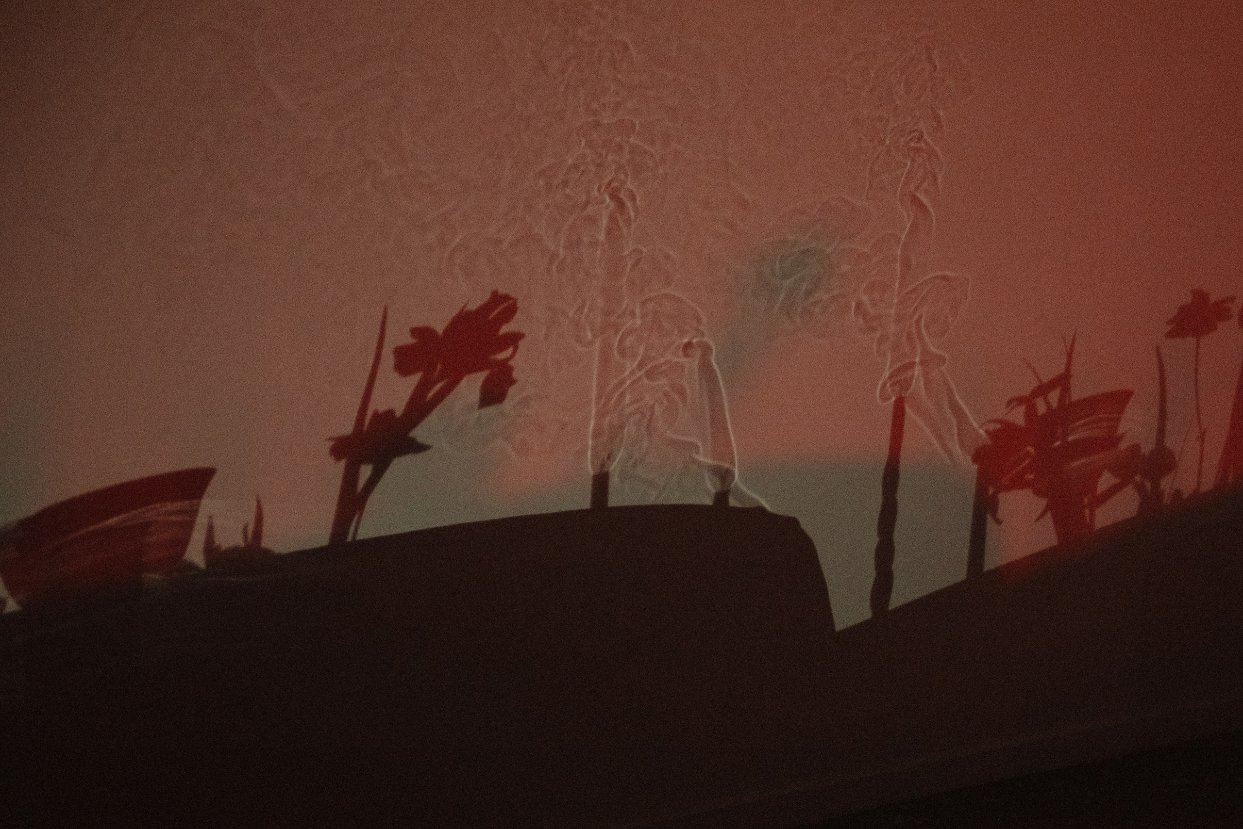 Люби меня люби!. Свадебный фотограф в Минске Тагай Наталья