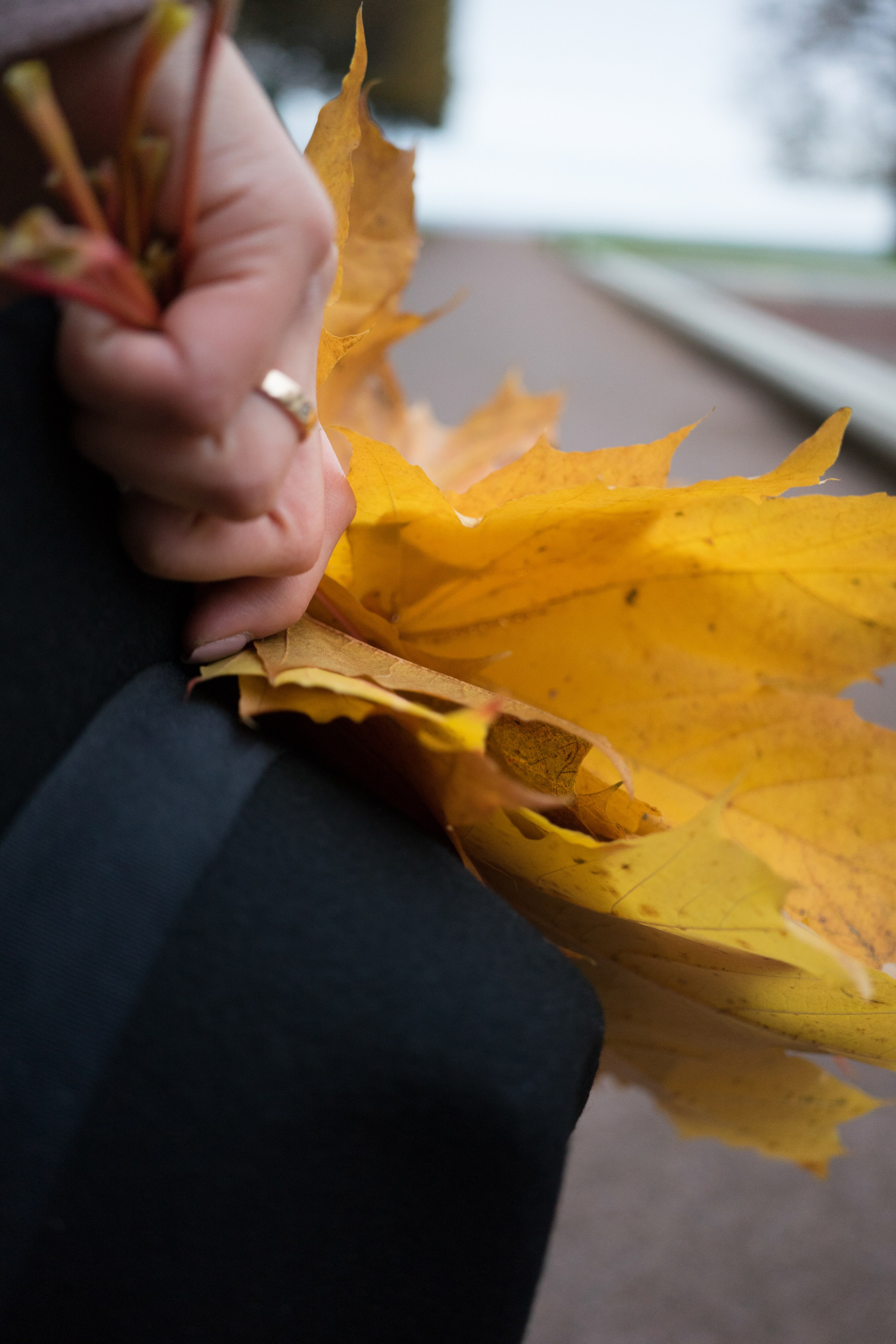 Прогулки по Петергофу. Alina Antonova фотограф в Санкт-Петербурге