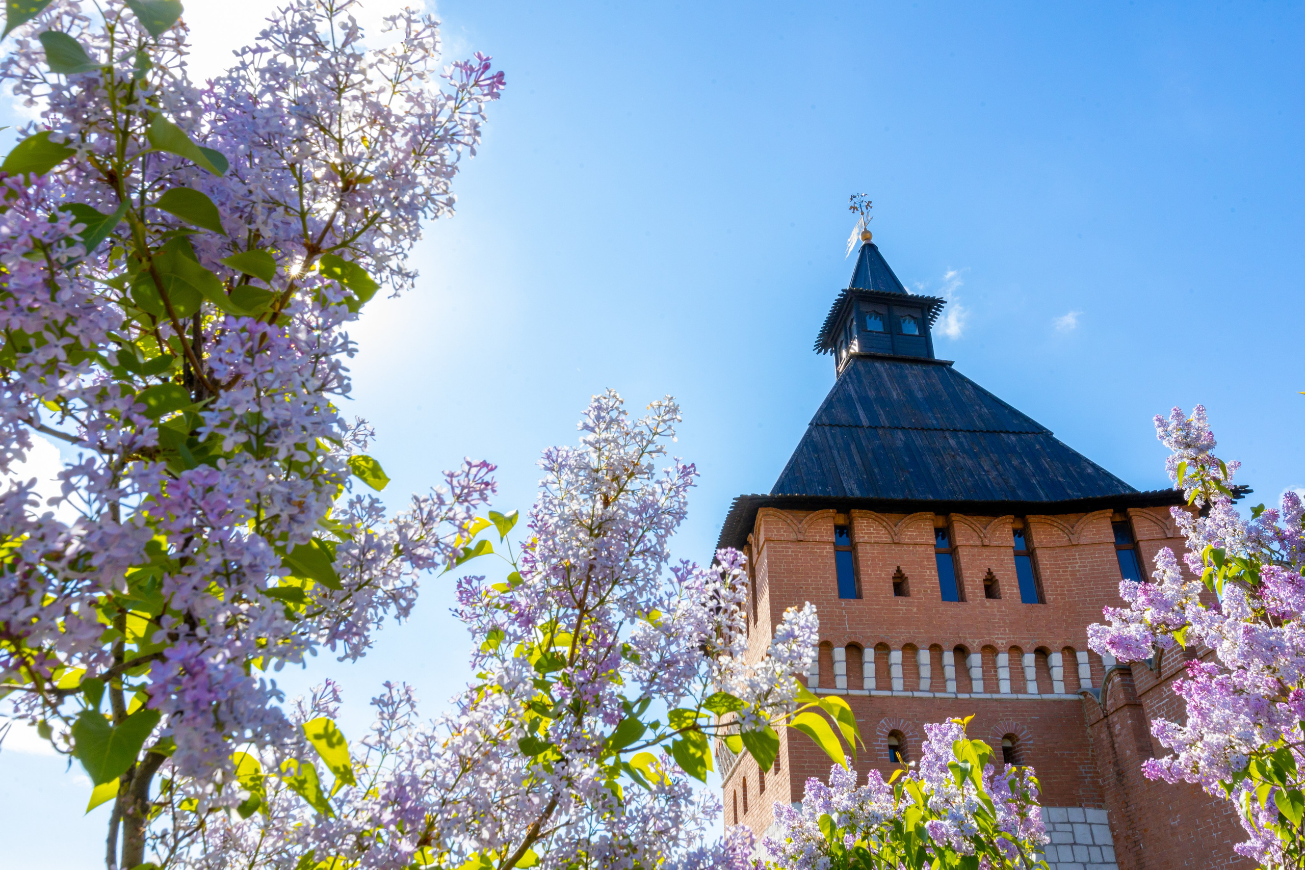 Весеннее цветение в Туле. Фотограф в Туле Крупский АнДРей. Фотостудия «КАДР71» в Туле