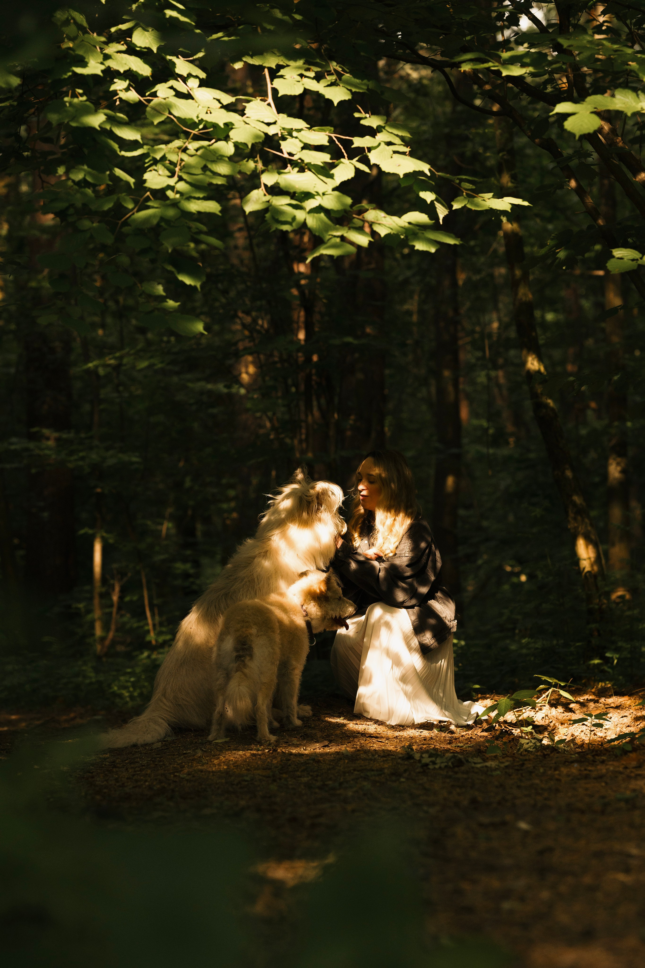 Акиро и Йоши. Фотограф- анималист Александра Матвеева