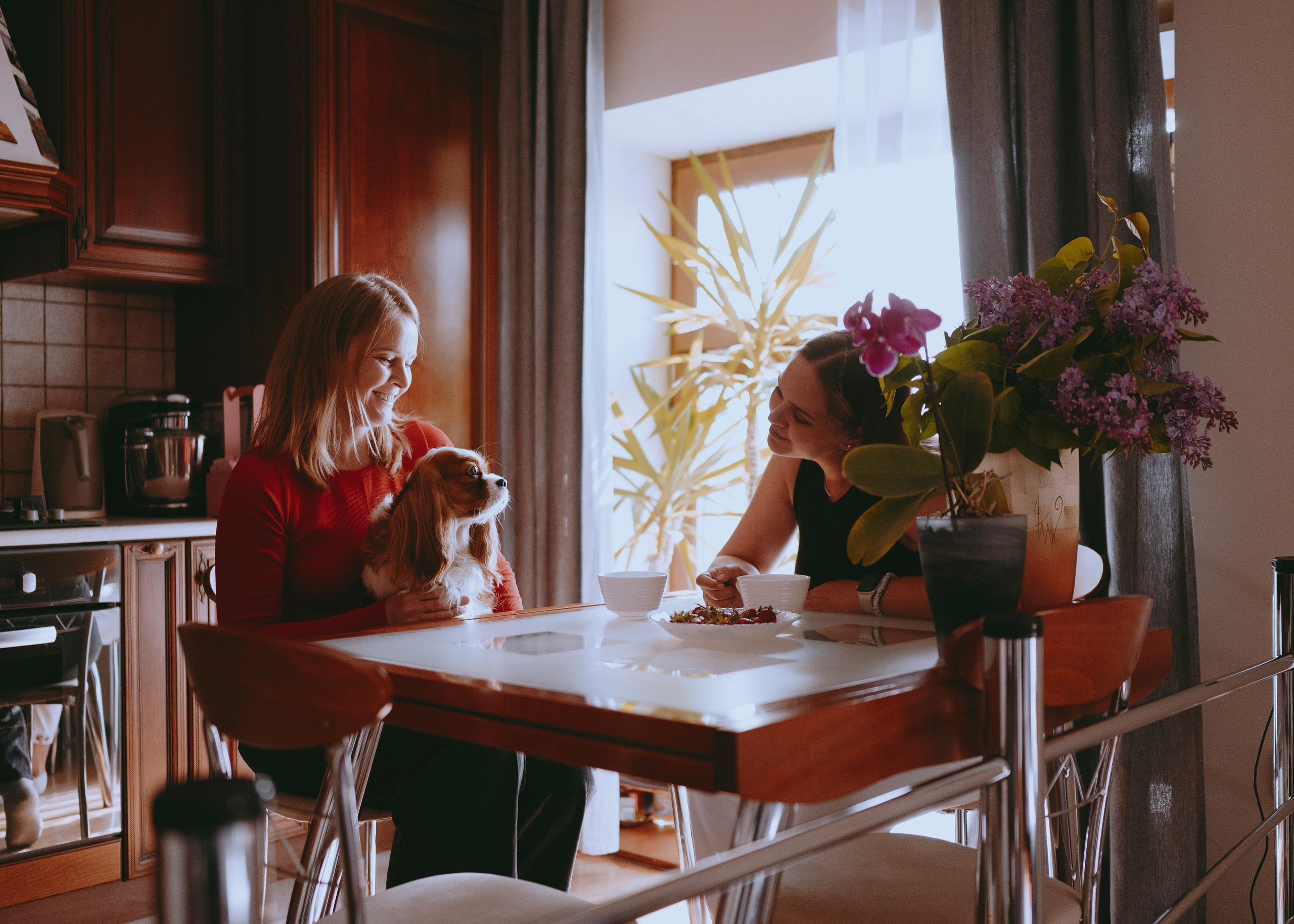 Дольче. Фотограф- анималист Александра Матвеева