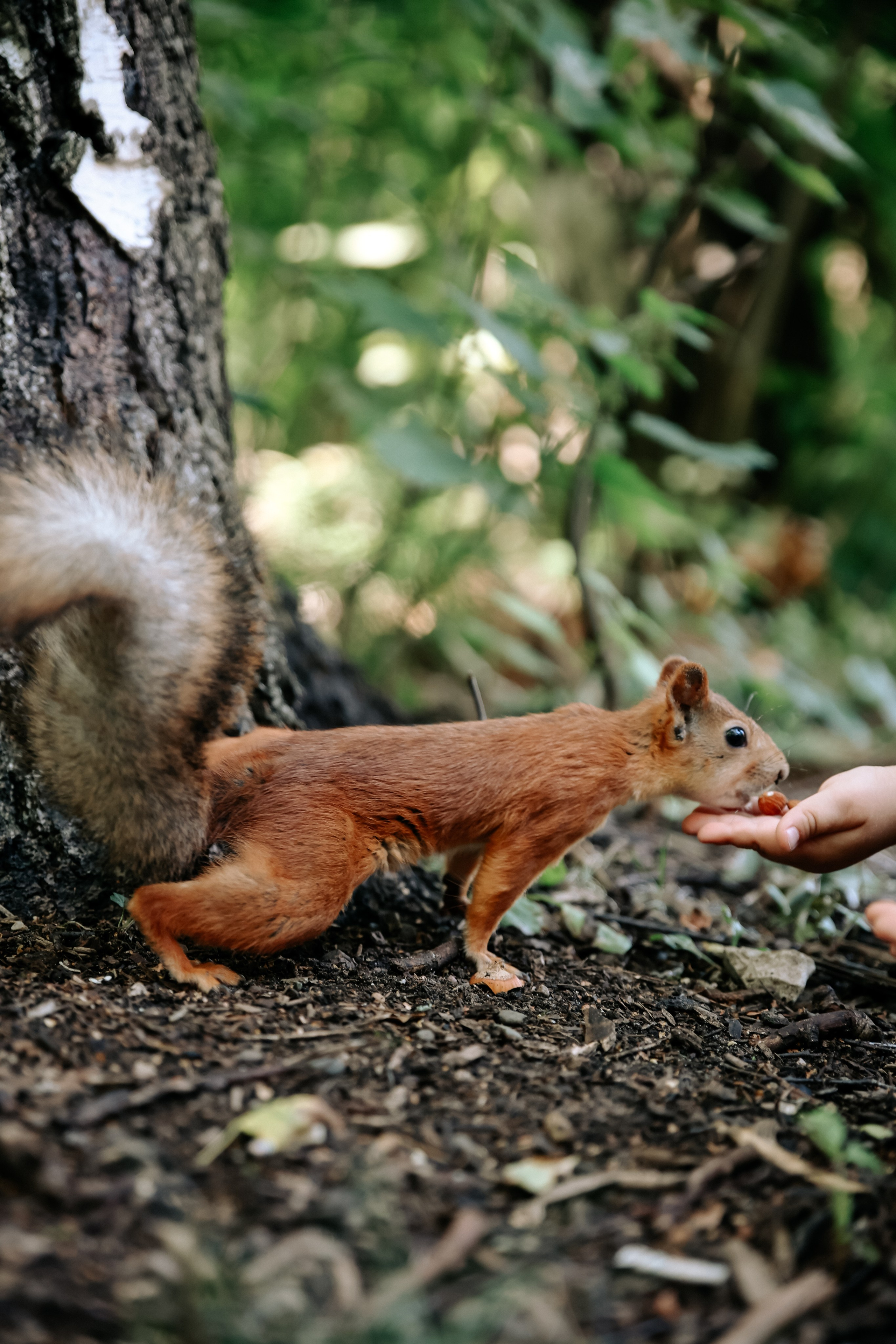Катя. Фотограф Диана Воробьева Нижний Новгород
