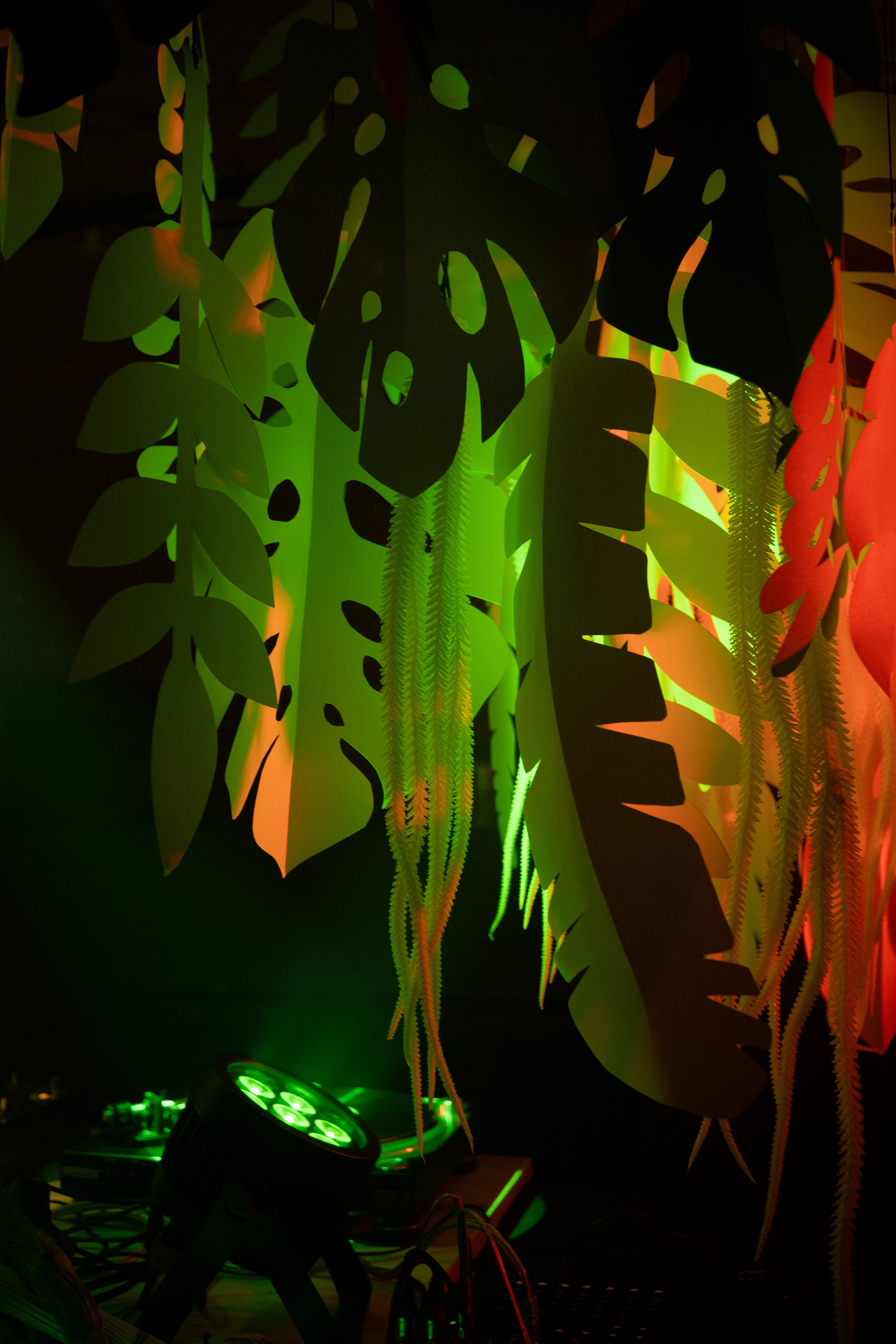 Кратная Звезда | JUNGLE WAVE. Фотограф Vika Rin