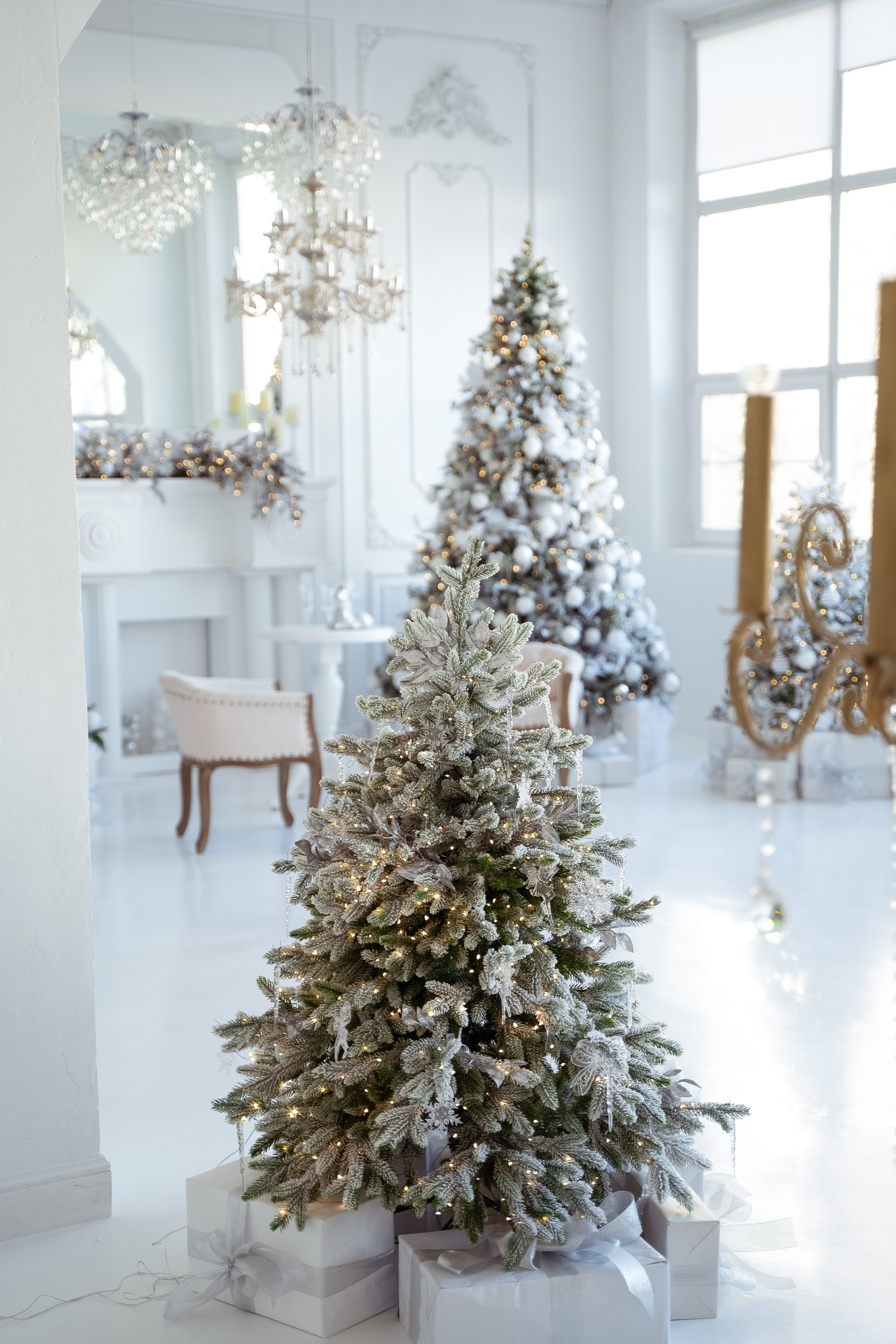 Ренессанс. Фотограф г. Хабаровск. Семейные и индивидуальные съёмки