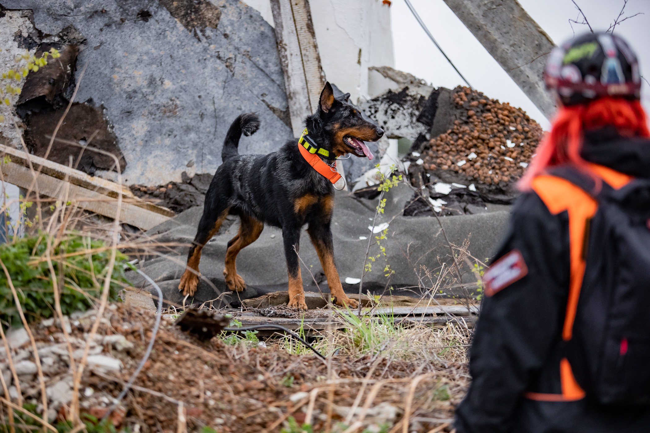 ПСС Соревнования в Нижегородской области г. Чкаловск 2023-04-28. Фотограф Ирина Астор