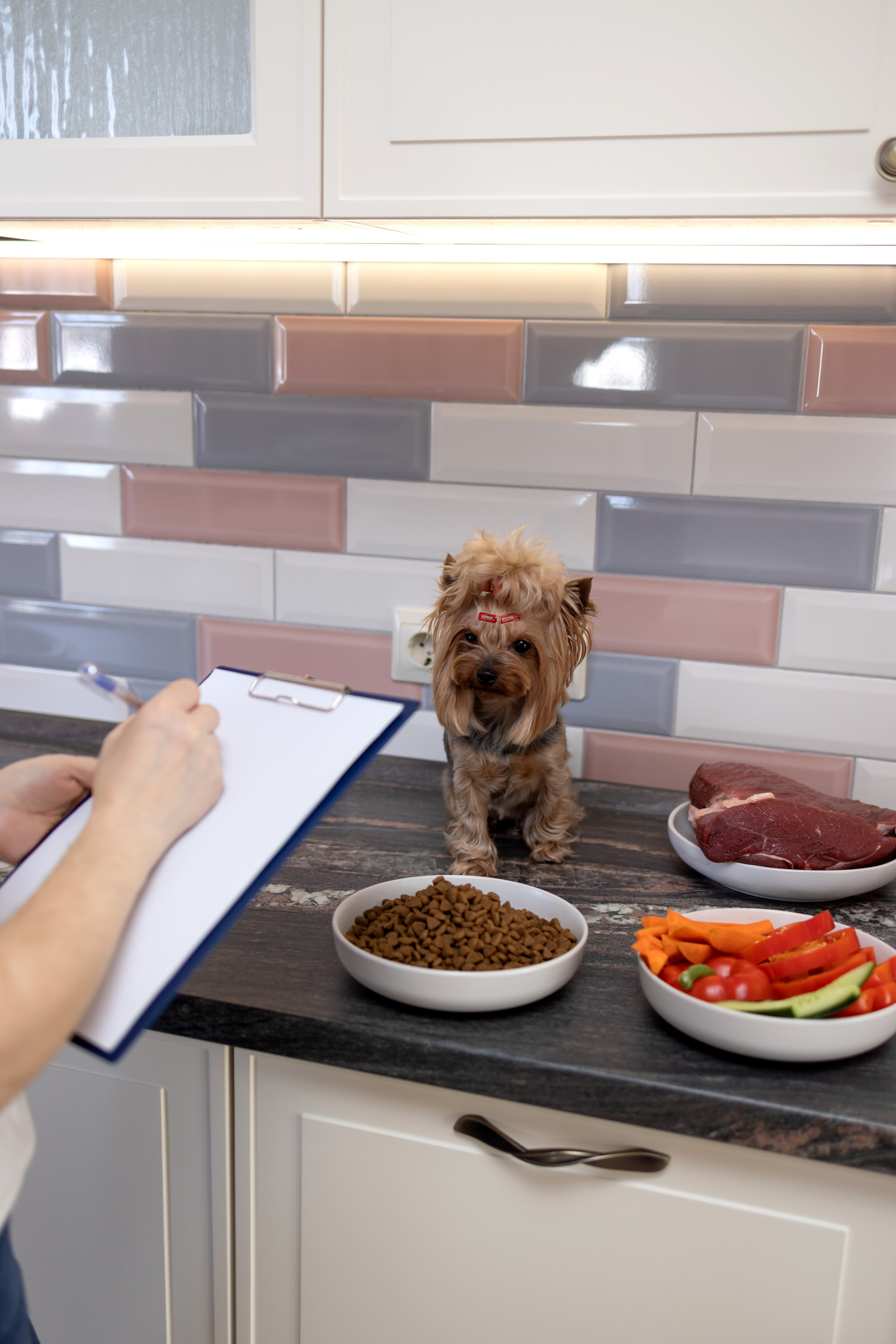 Ветеринарный врач-диетолог. Портретная и индивидуальная фотосъёмка в Граце и Тюмени