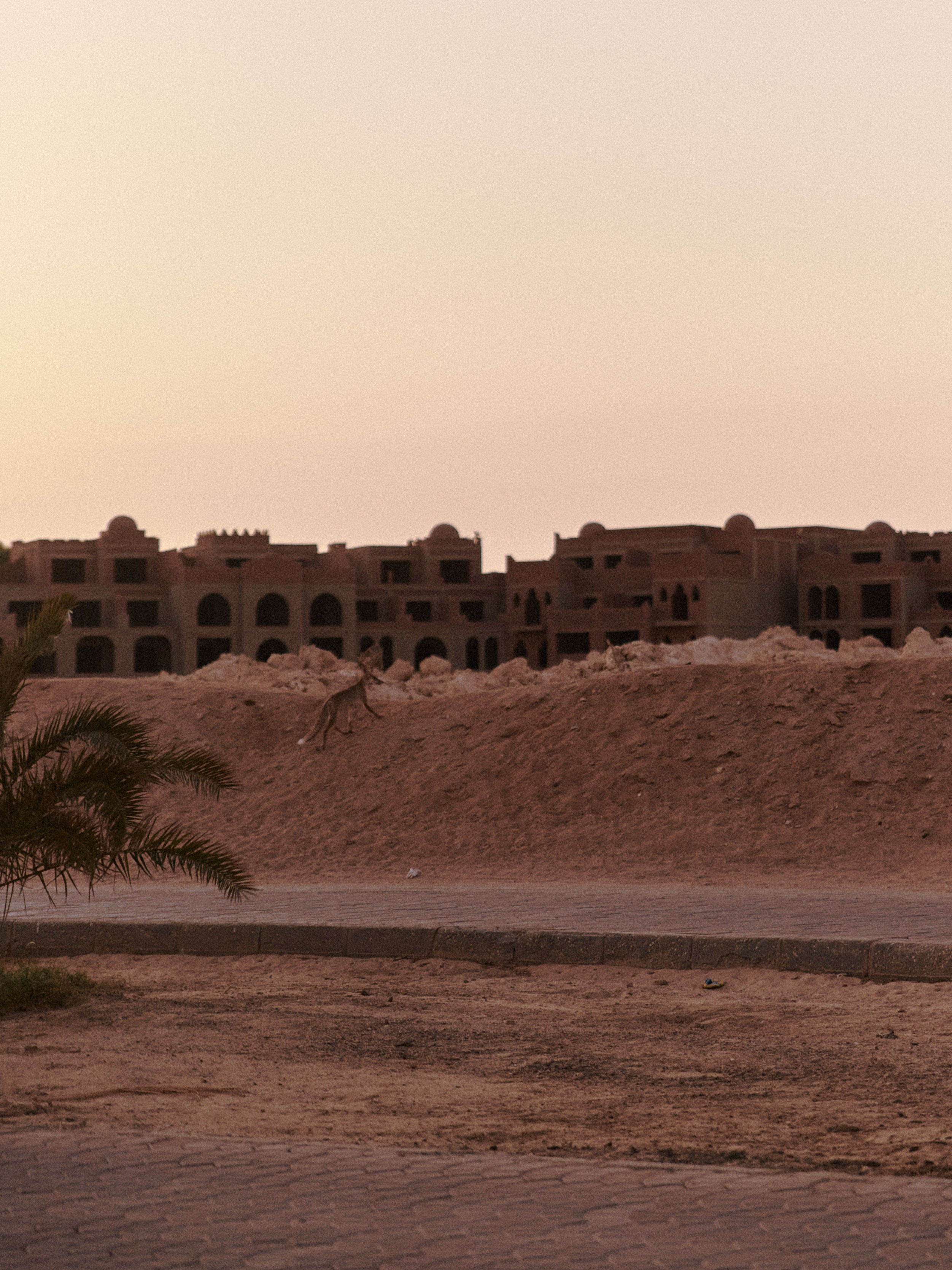 Улицы. Jorgis Talè — photographer, kind person, teacher of arts and other mag