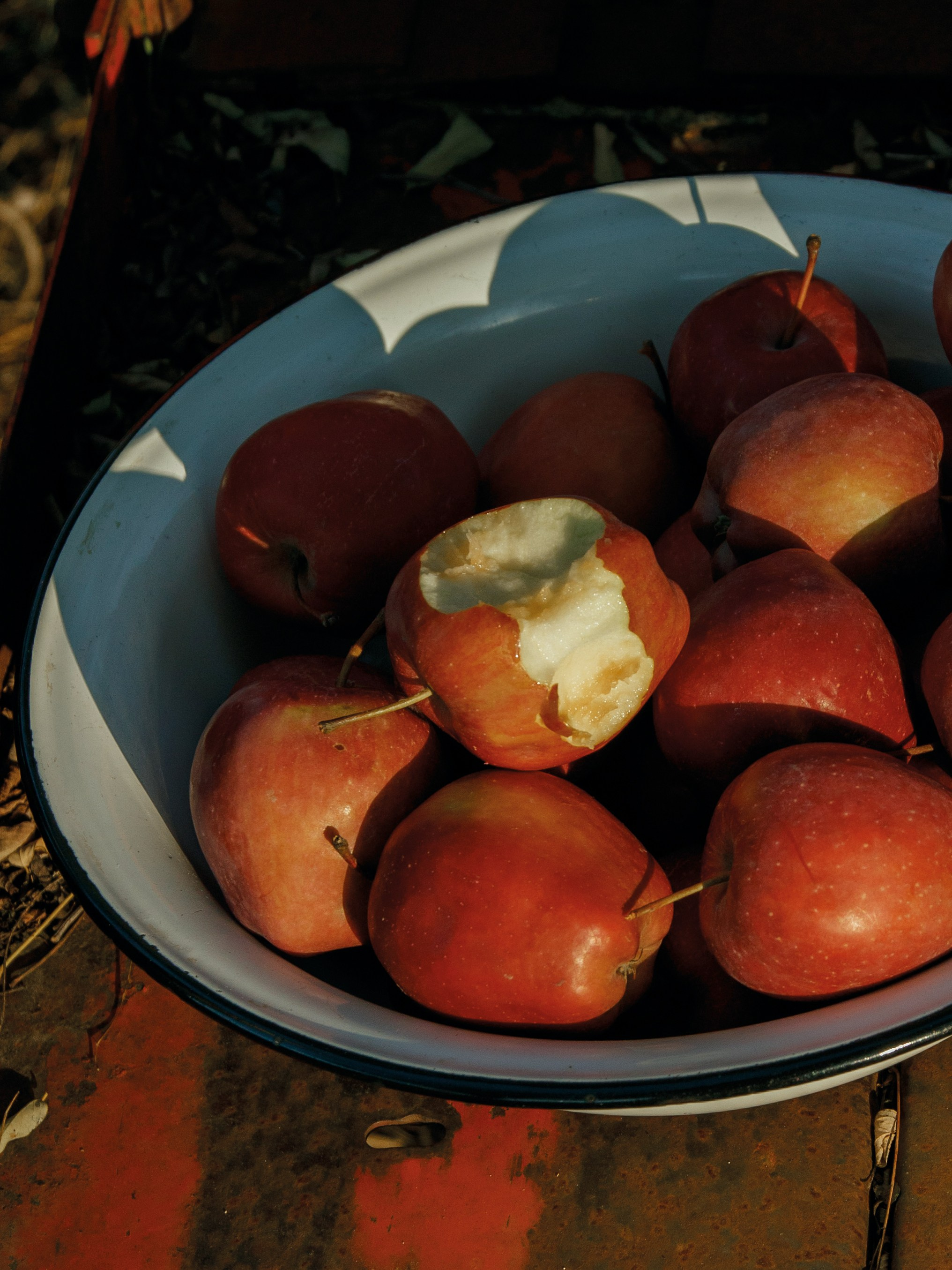 Nana Minasyan. Фотограф Анапа, Новороссийск, Краснодар