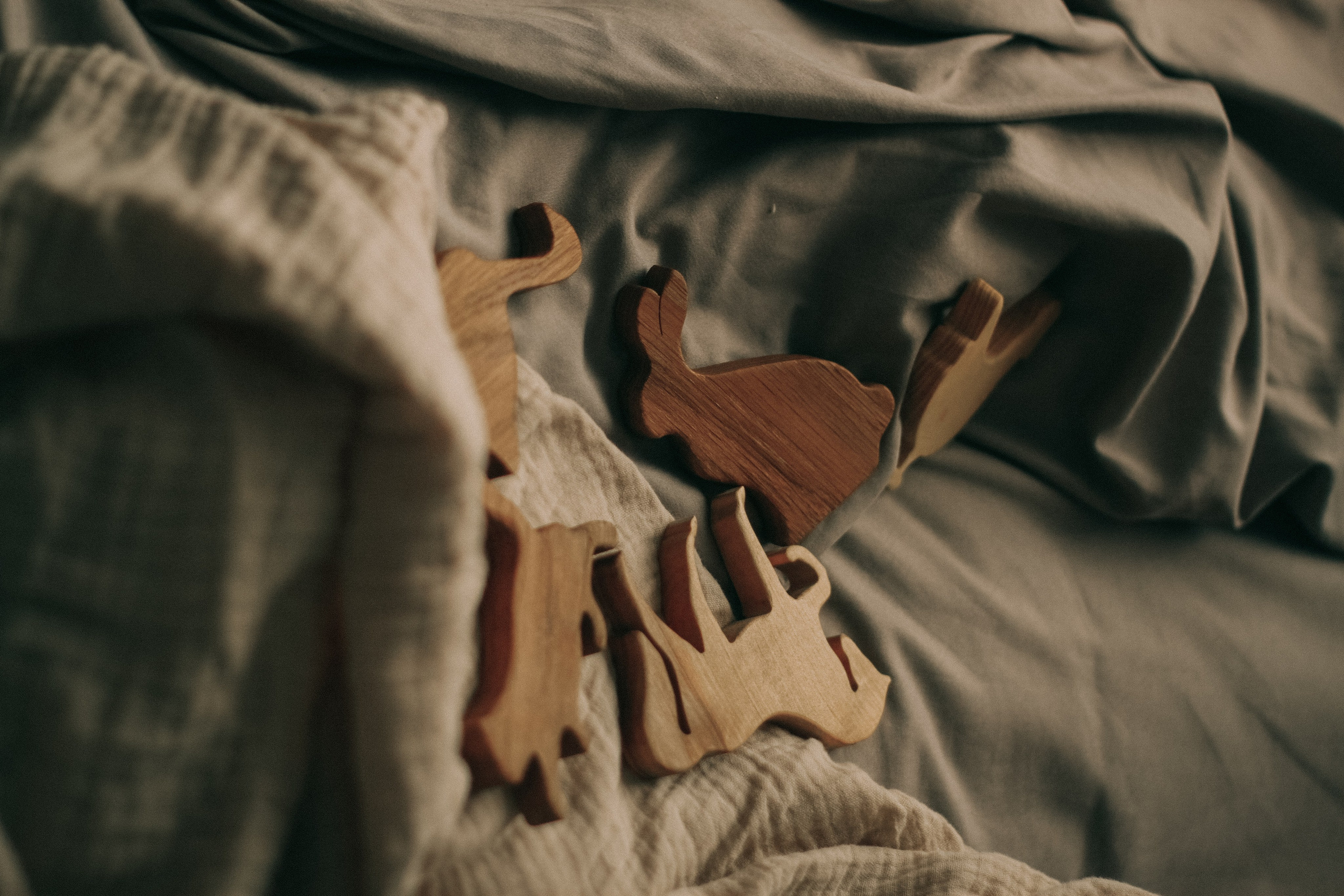 Семейный детский фотограф в Калининграде Анна Каратай