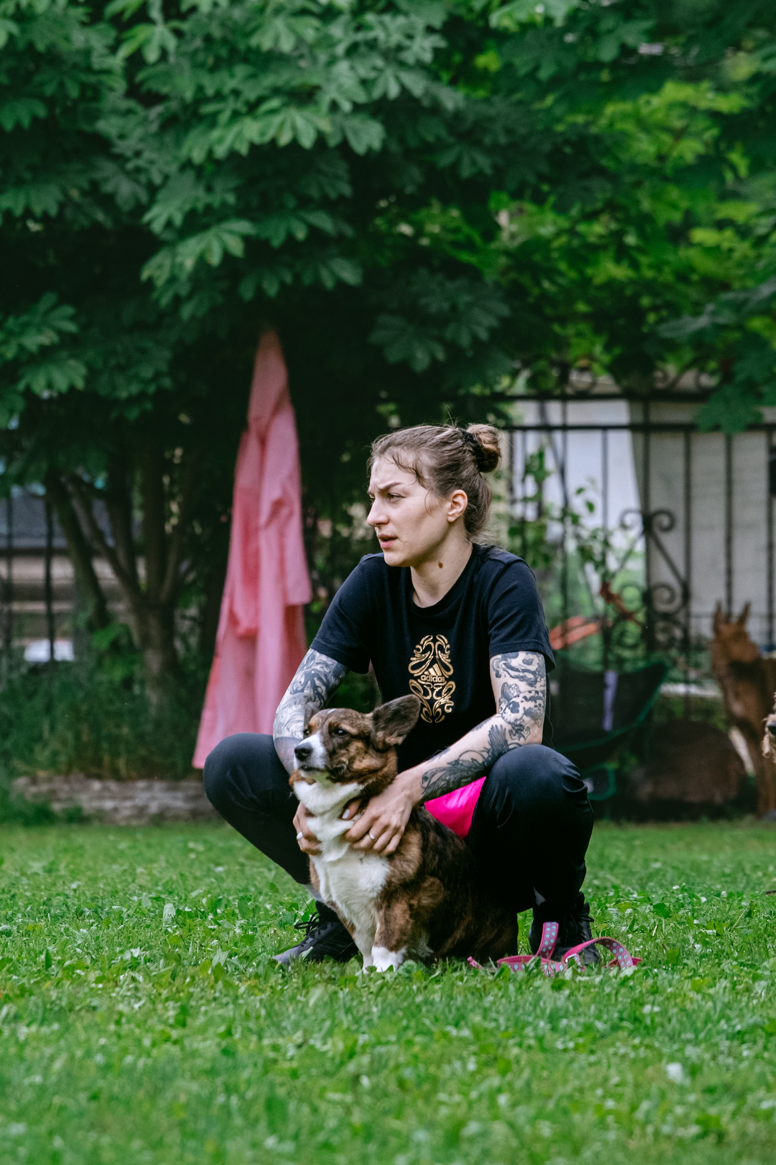 Соревнования по аджилити Долгопрудный 30.06.2025. Фотограф-анималист Татьяна Степанова